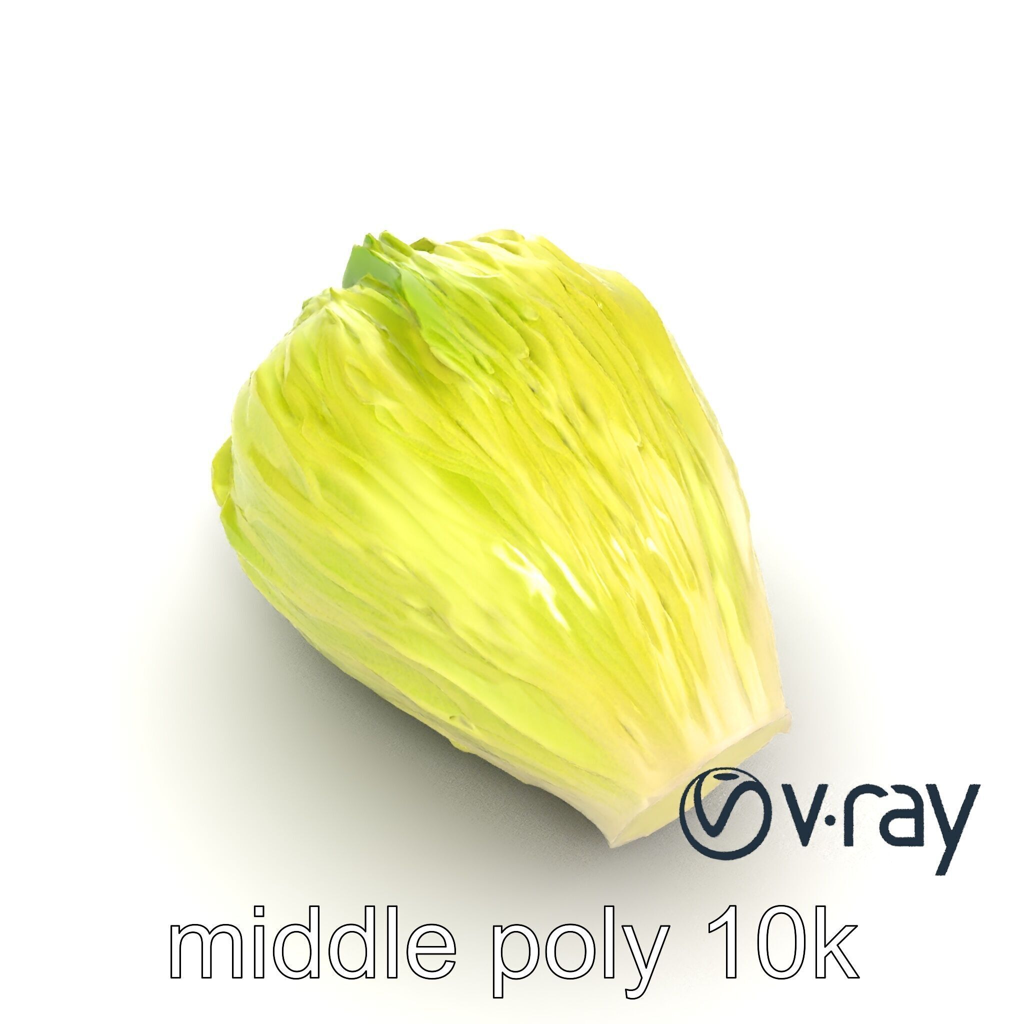 Realistic Chinese Cabbage Model Pack Low-poly 3D model_7