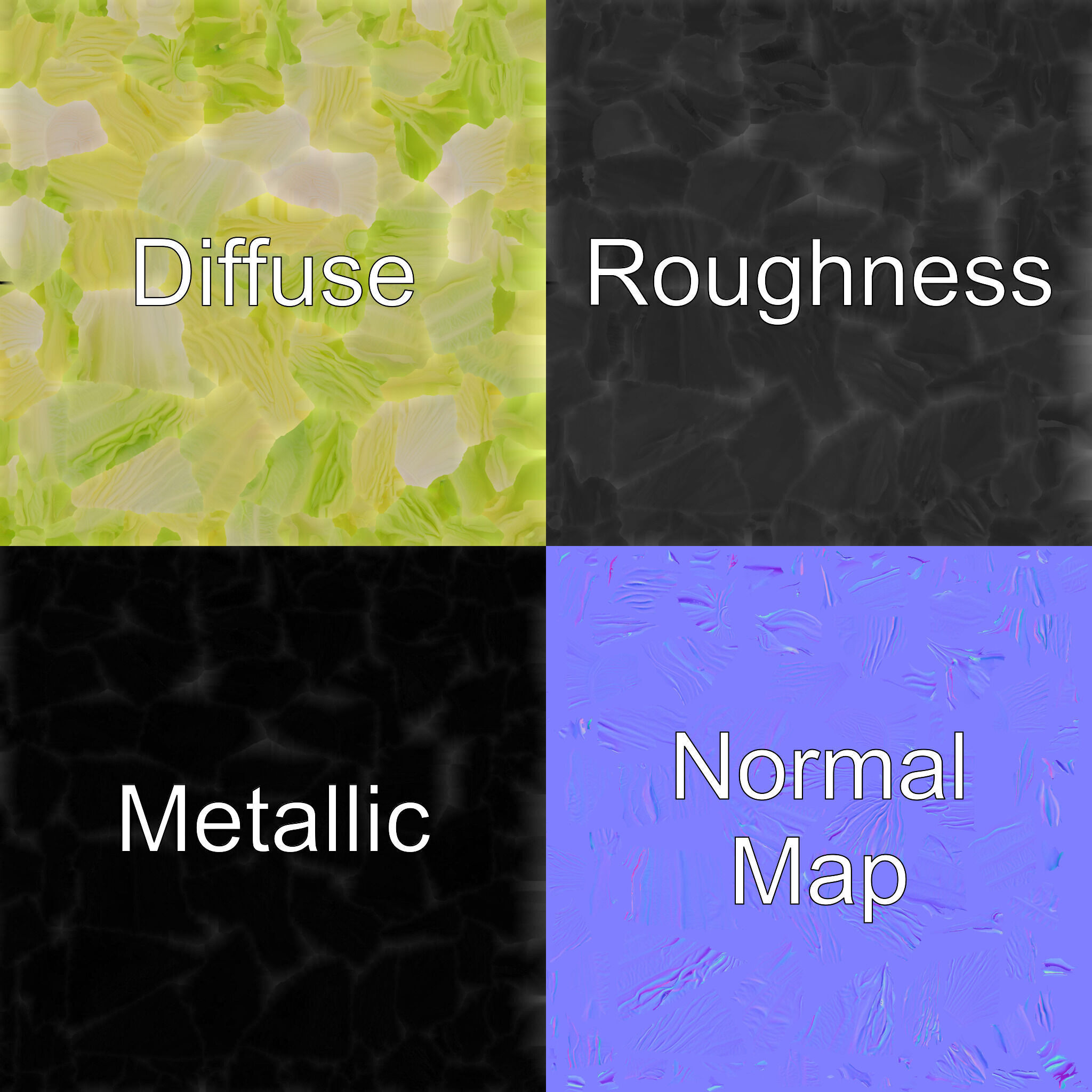 Realistic Chinese Cabbage Model Pack Low-poly 3D model_1