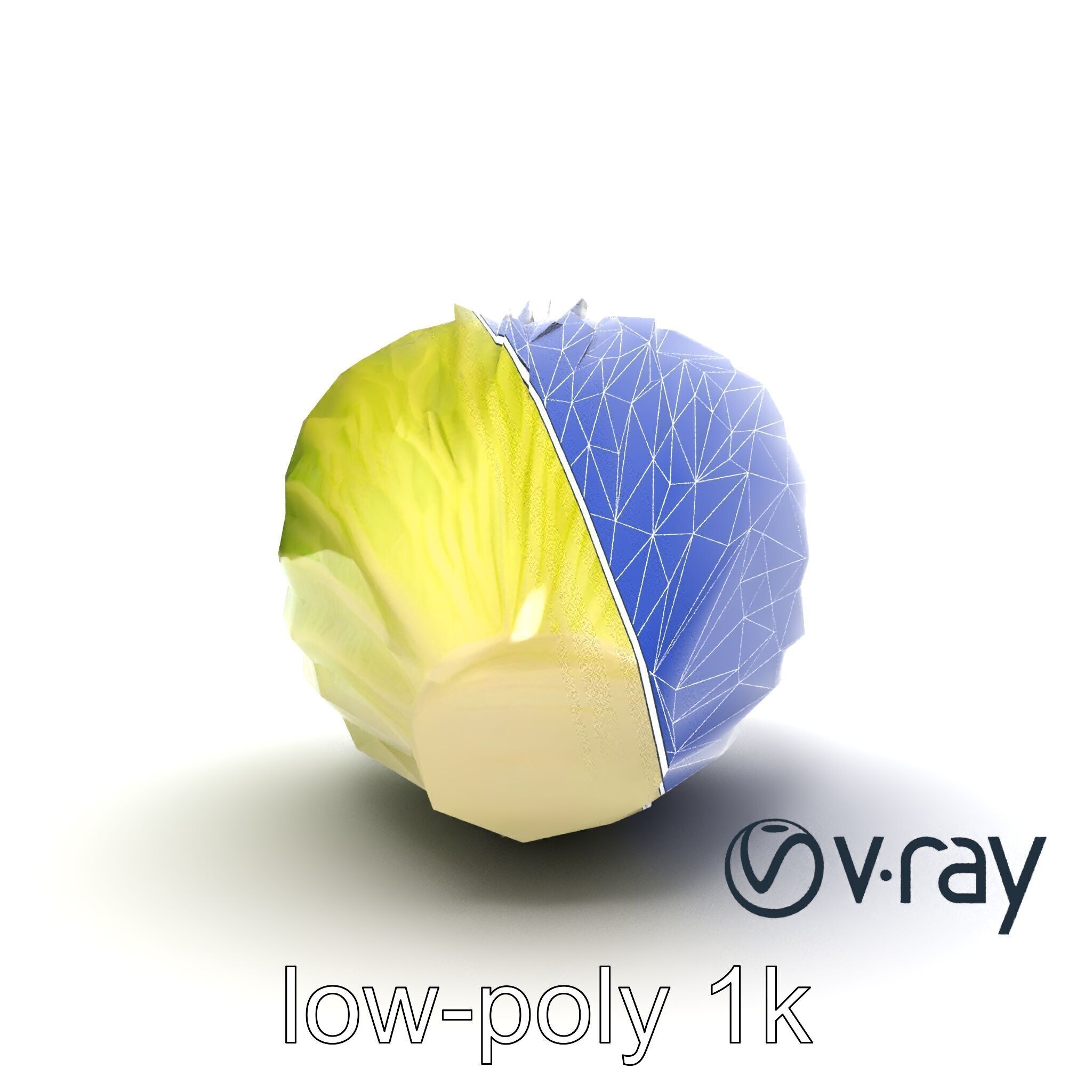 Realistic Chinese Cabbage Model Pack Low-poly 3D model_25