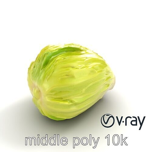 Realistic Chinese Cabbage Model Pack Low-poly 3D model 5