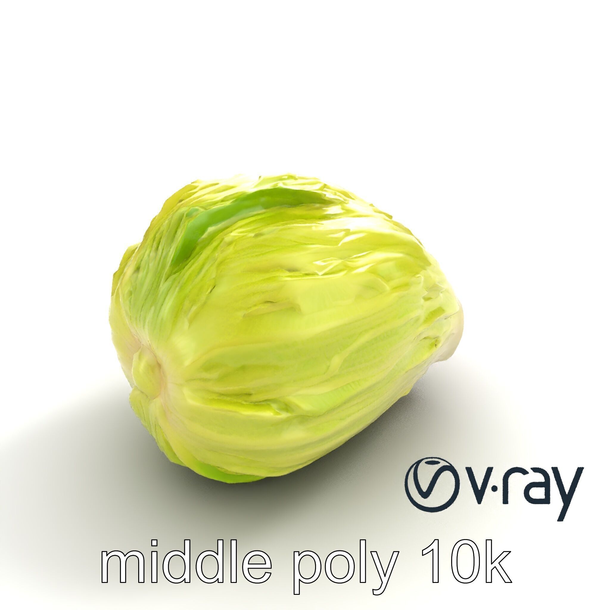 Realistic Chinese Cabbage Model Pack Low-poly 3D model_4