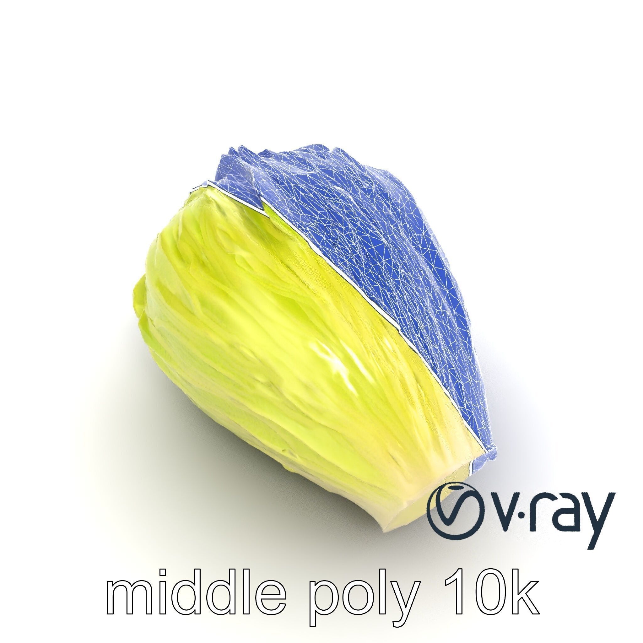 Realistic Chinese Cabbage Model Pack Low-poly 3D model_28