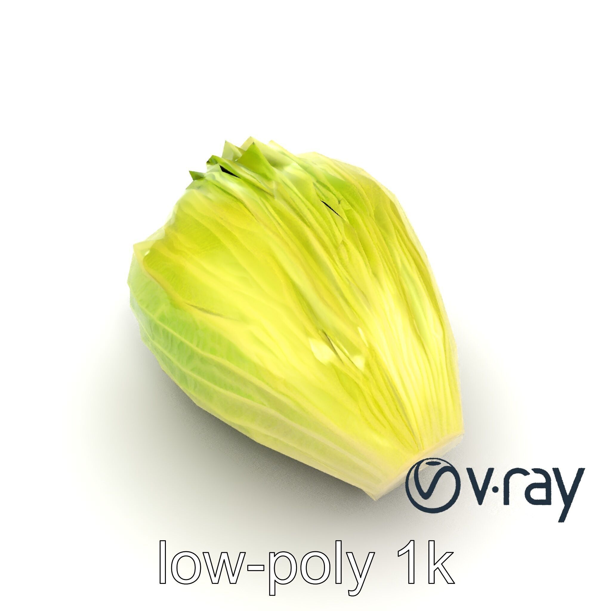 Realistic Chinese Cabbage Model Pack Low-poly 3D model_16