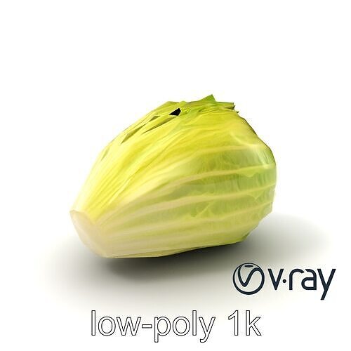 Realistic Chinese Cabbage Model Pack Low-poly 3D model 3