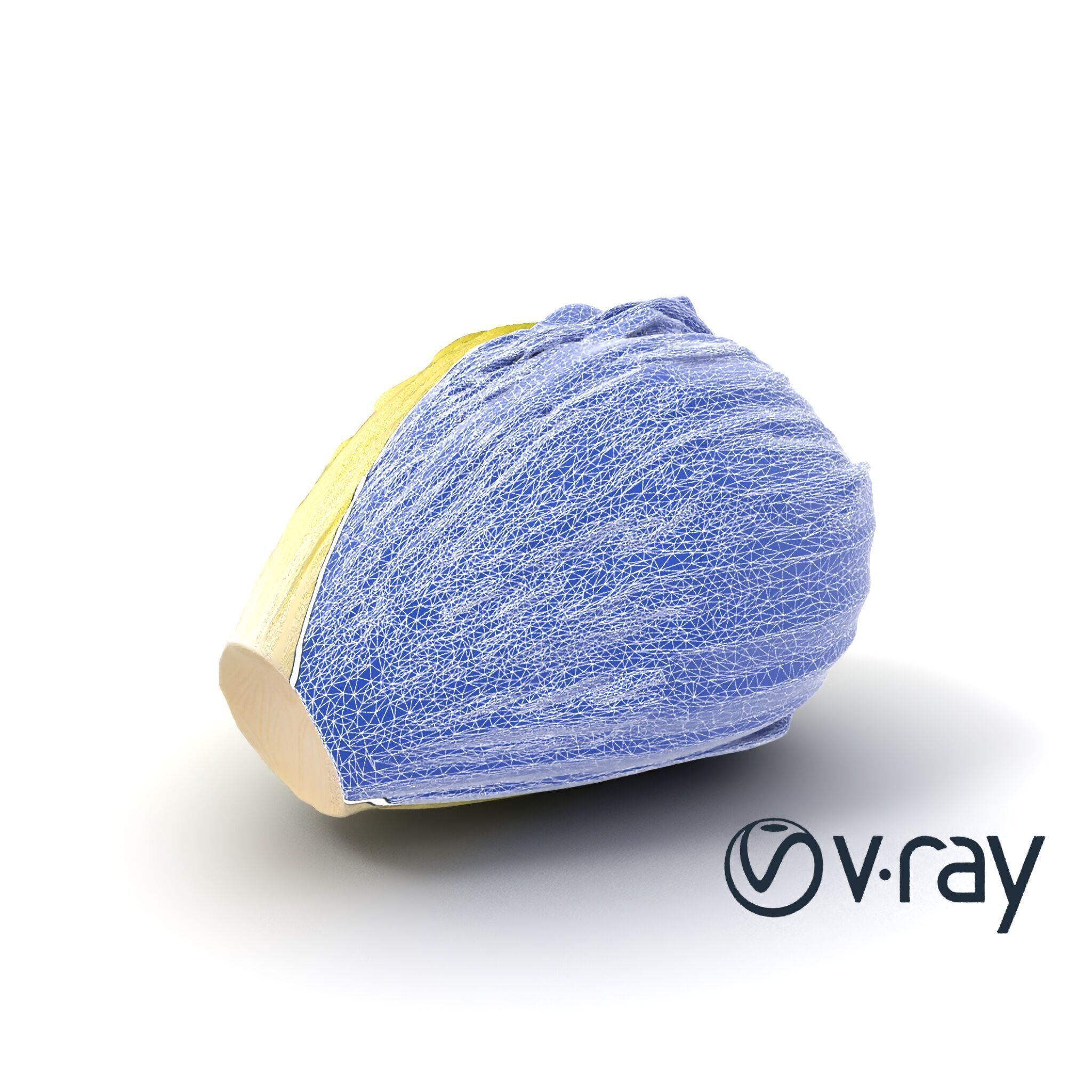 Realistic Chinese Cabbage Model Pack Low-poly 3D model_9