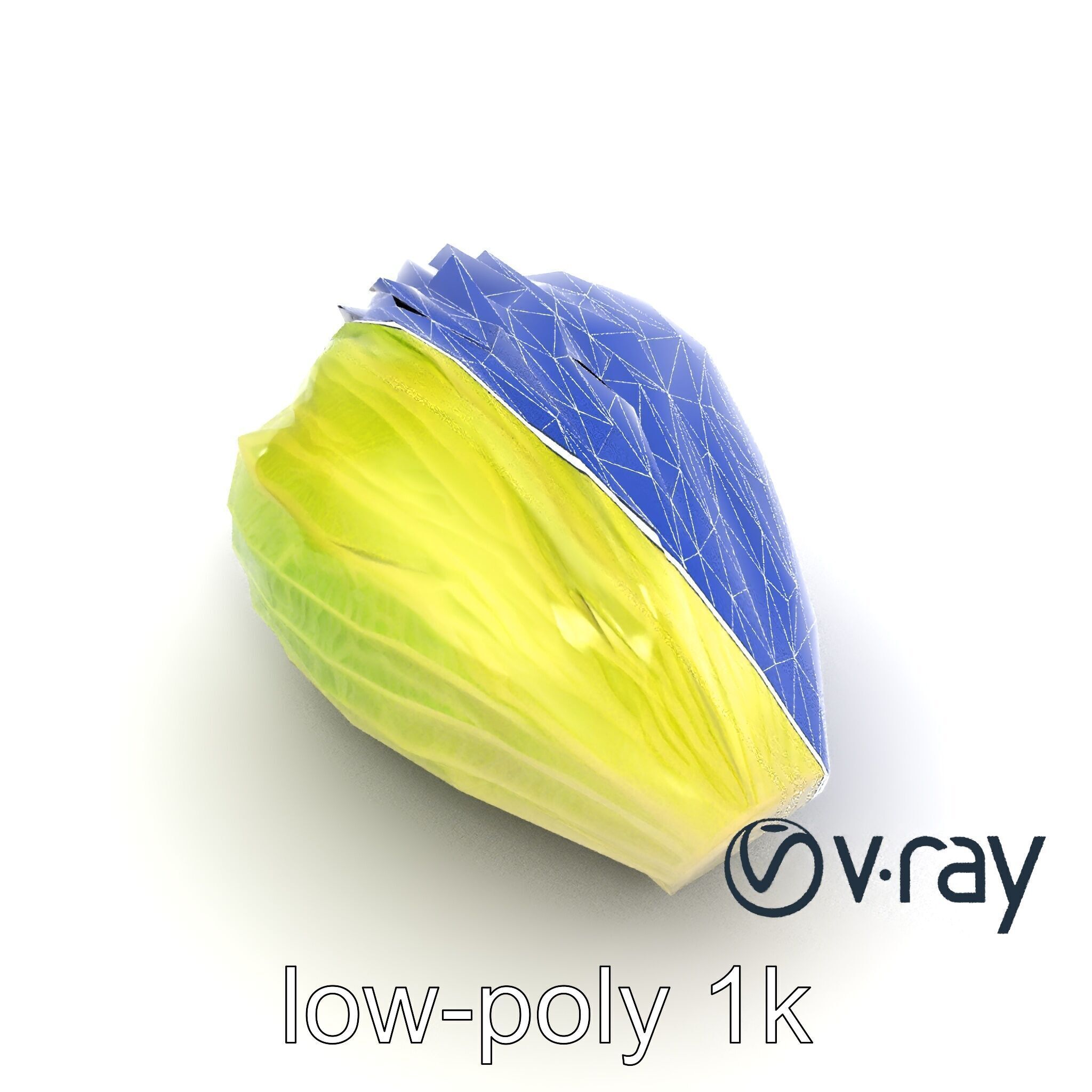 Realistic Chinese Cabbage Model Pack Low-poly 3D model_22