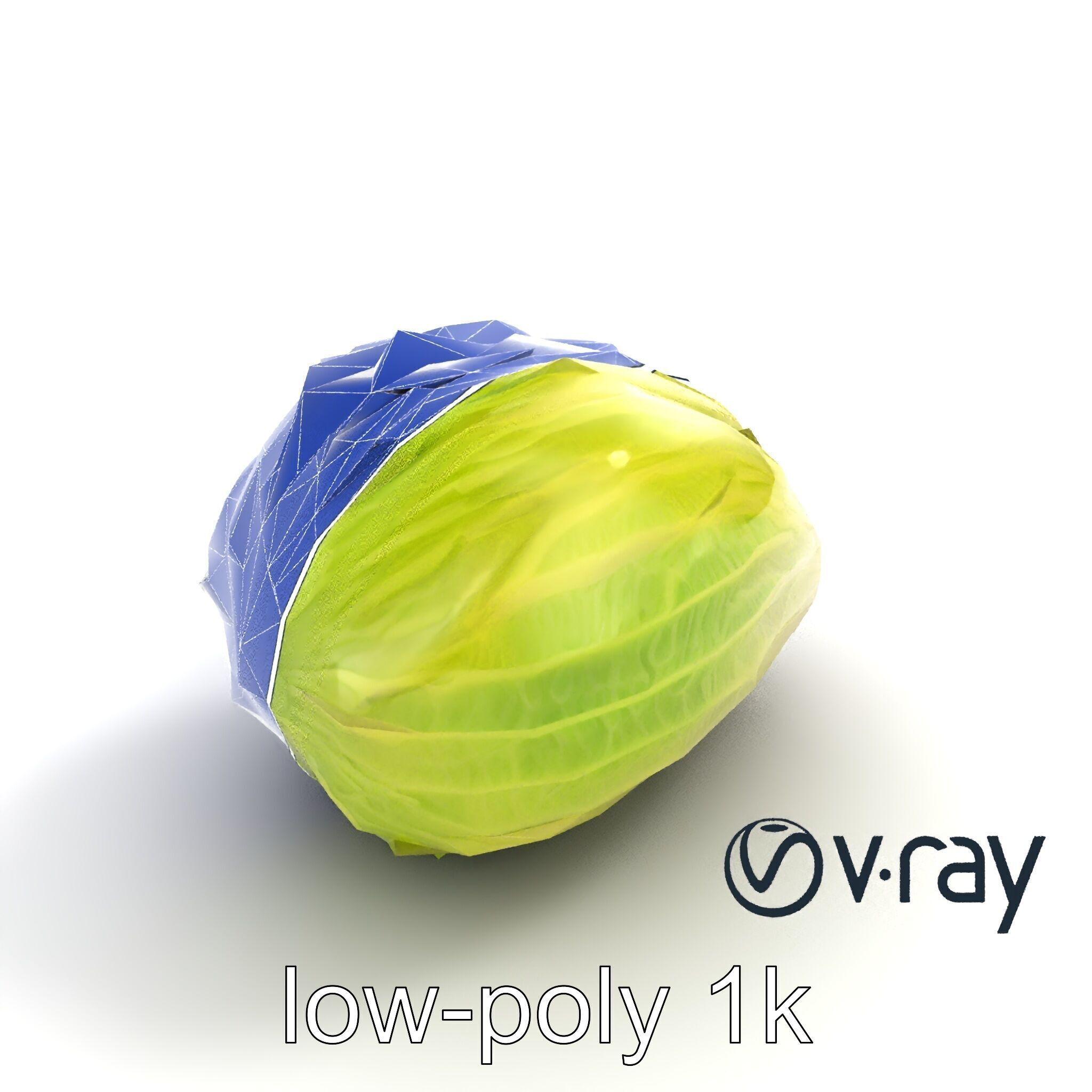 Realistic Chinese Cabbage Model Pack Low-poly 3D model_11