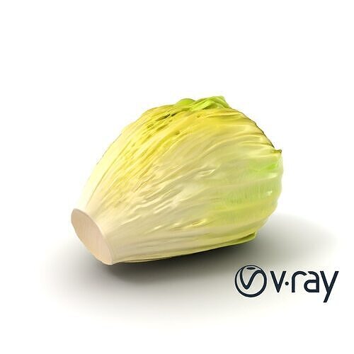Realistic Chinese Cabbage Model Pack Low-poly 3D model 7
