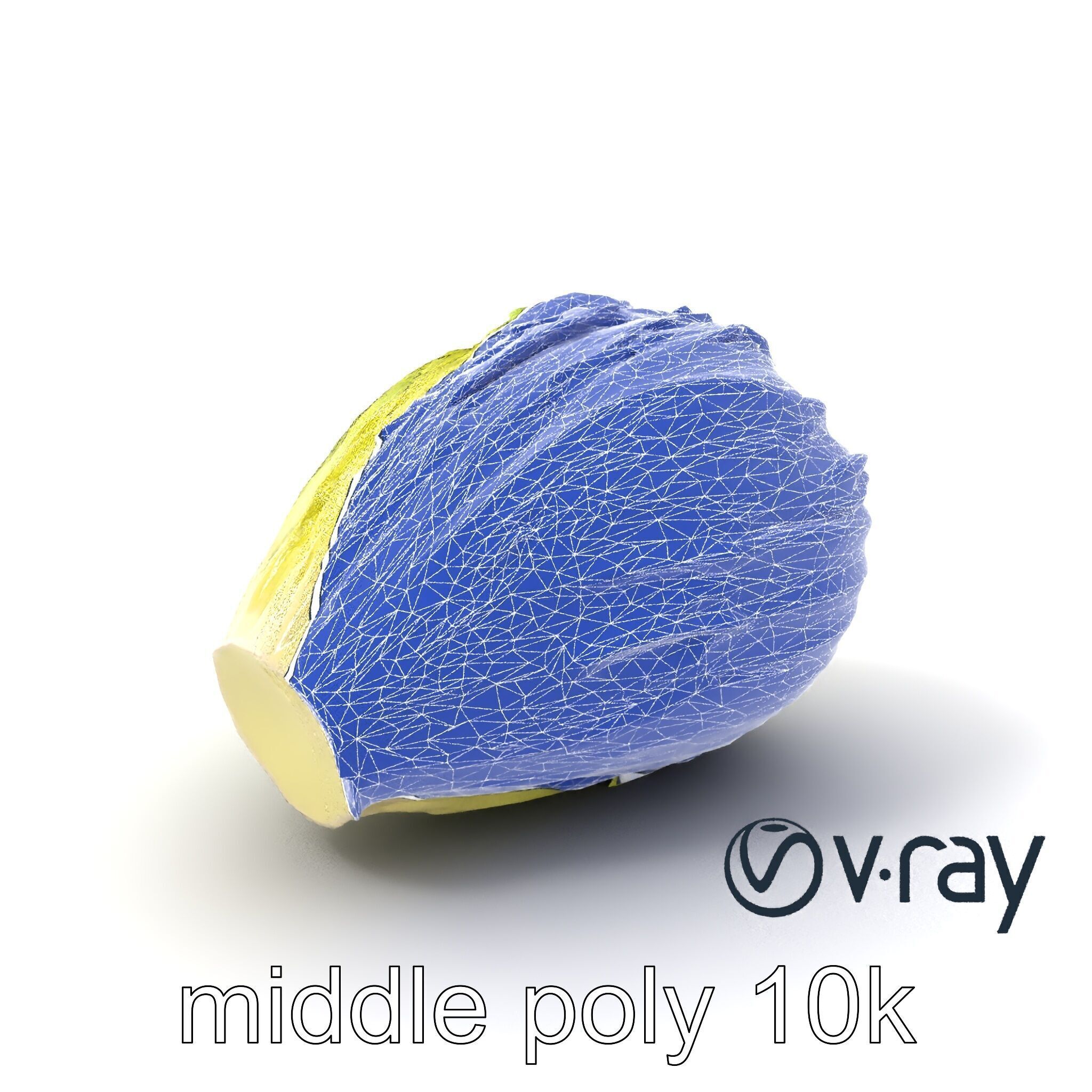 Realistic Chinese Cabbage Model Pack Low-poly 3D model_30