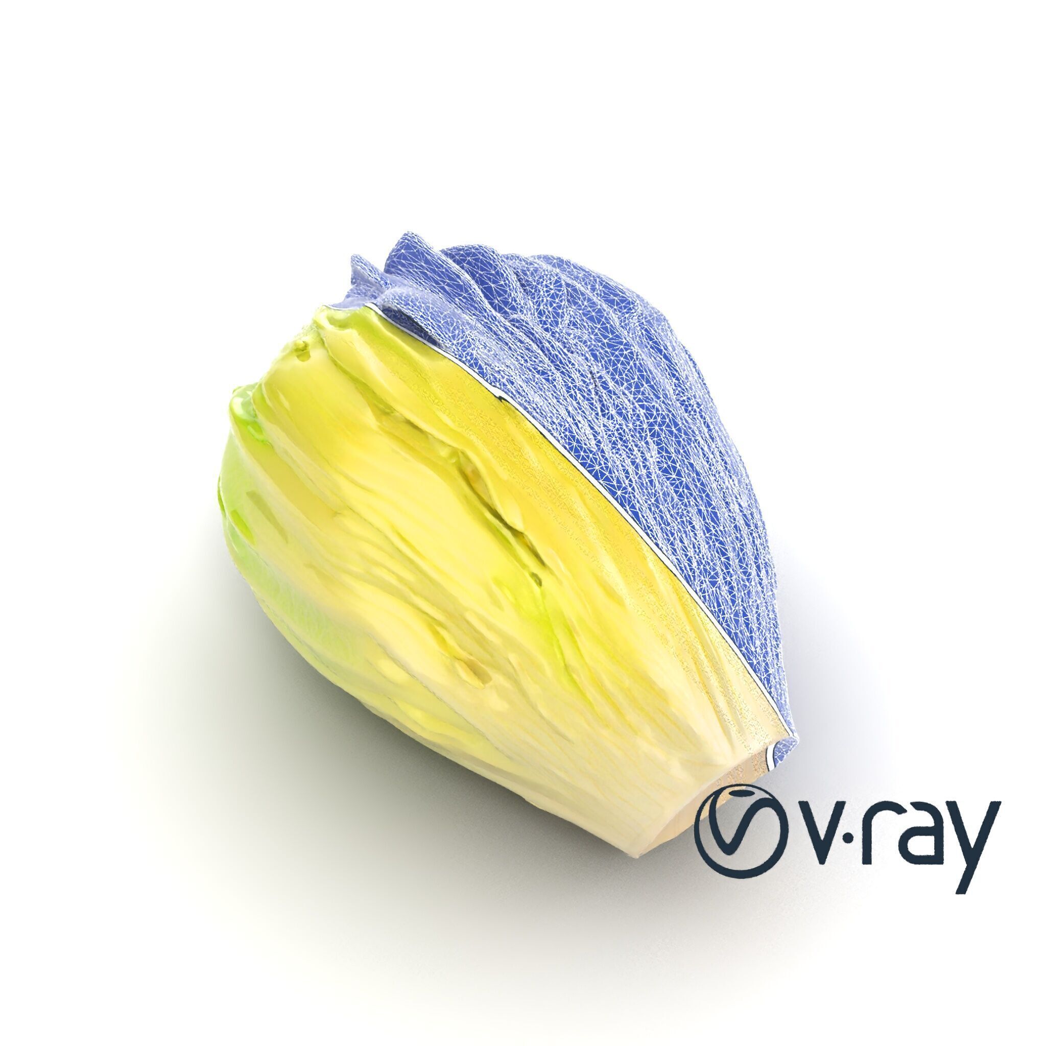 Realistic Chinese Cabbage Model Pack Low-poly 3D model_24