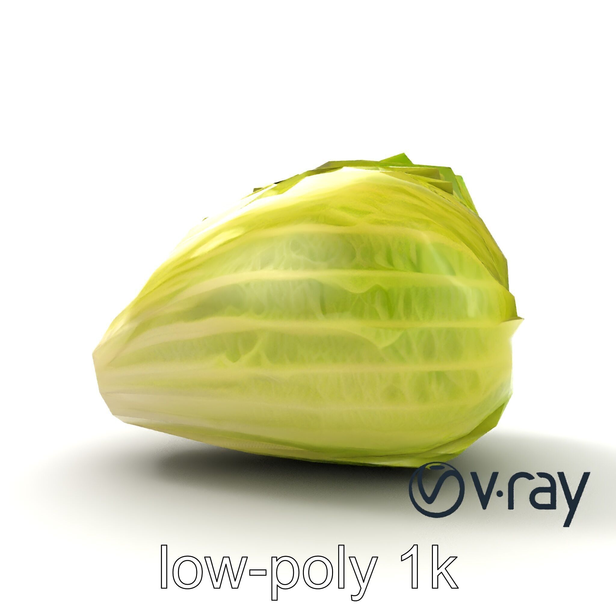 Realistic Chinese Cabbage Model Pack Low-poly 3D model_13