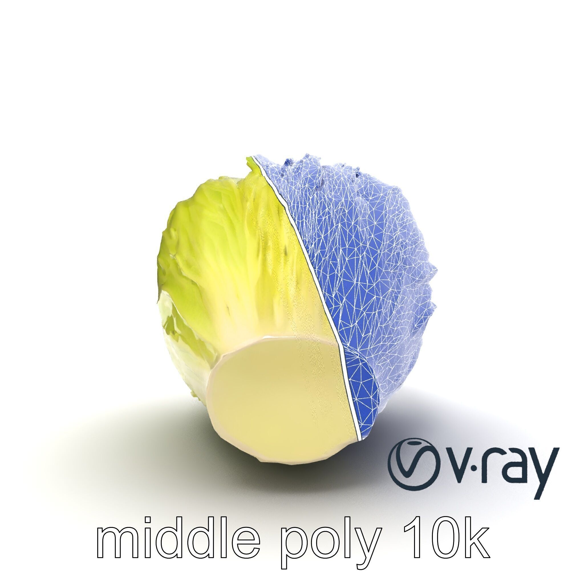 Realistic Chinese Cabbage Model Pack Low-poly 3D model_15