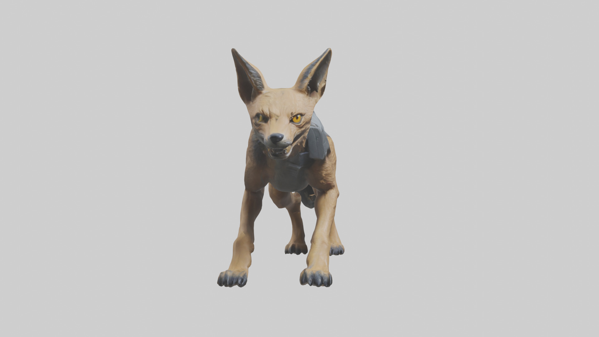 Jackal prowling model Low-poly 3D model_11