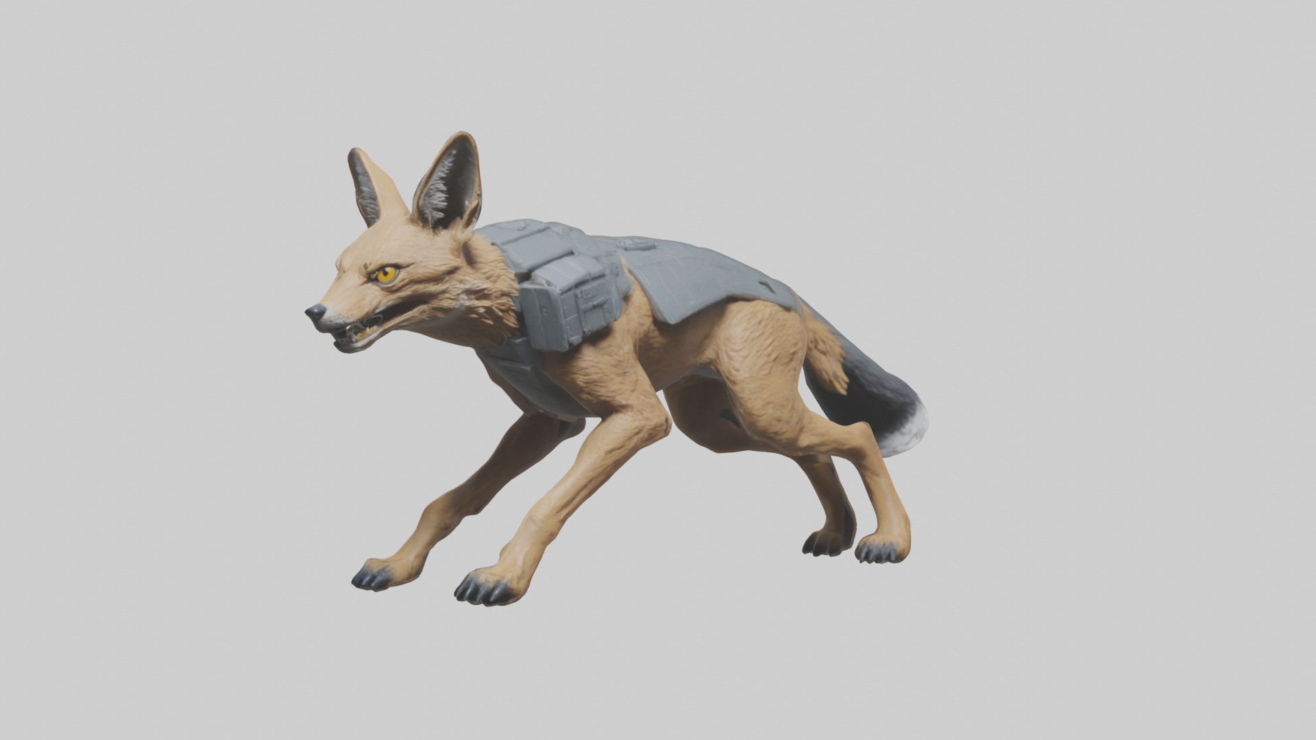 Jackal prowling model Low-poly 3D model_9