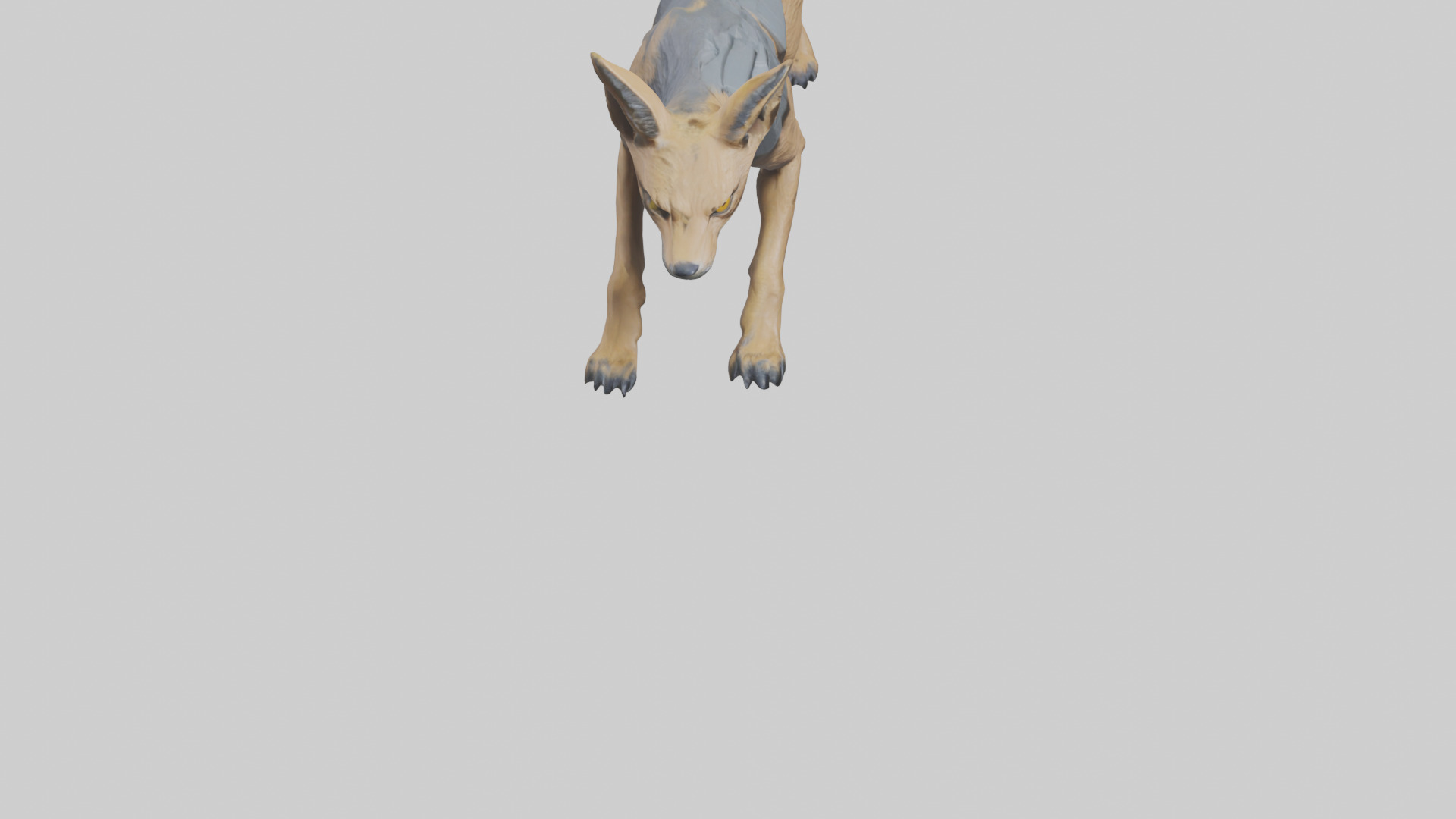 Jackal prowling model Low-poly 3D model_6