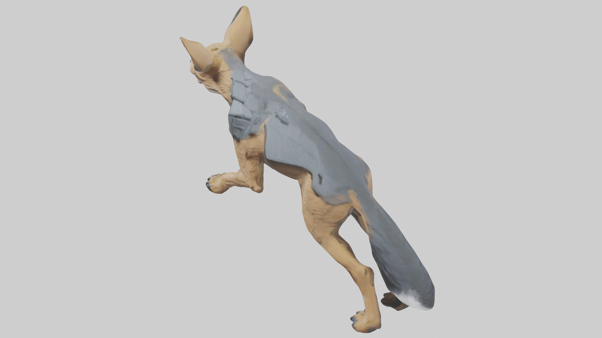 Jackal prowling model Low-poly 3D model_17