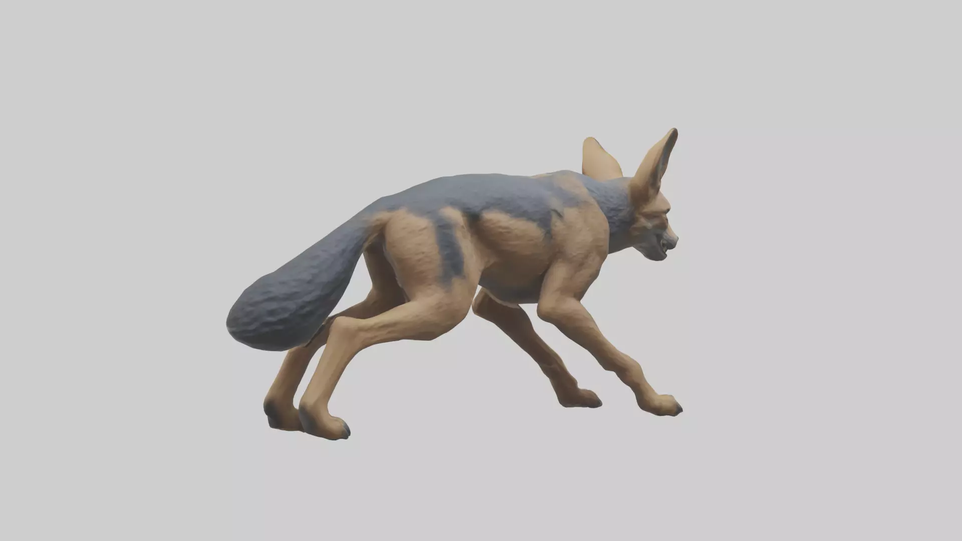 Jackal prowling model Low-poly 3D model_0