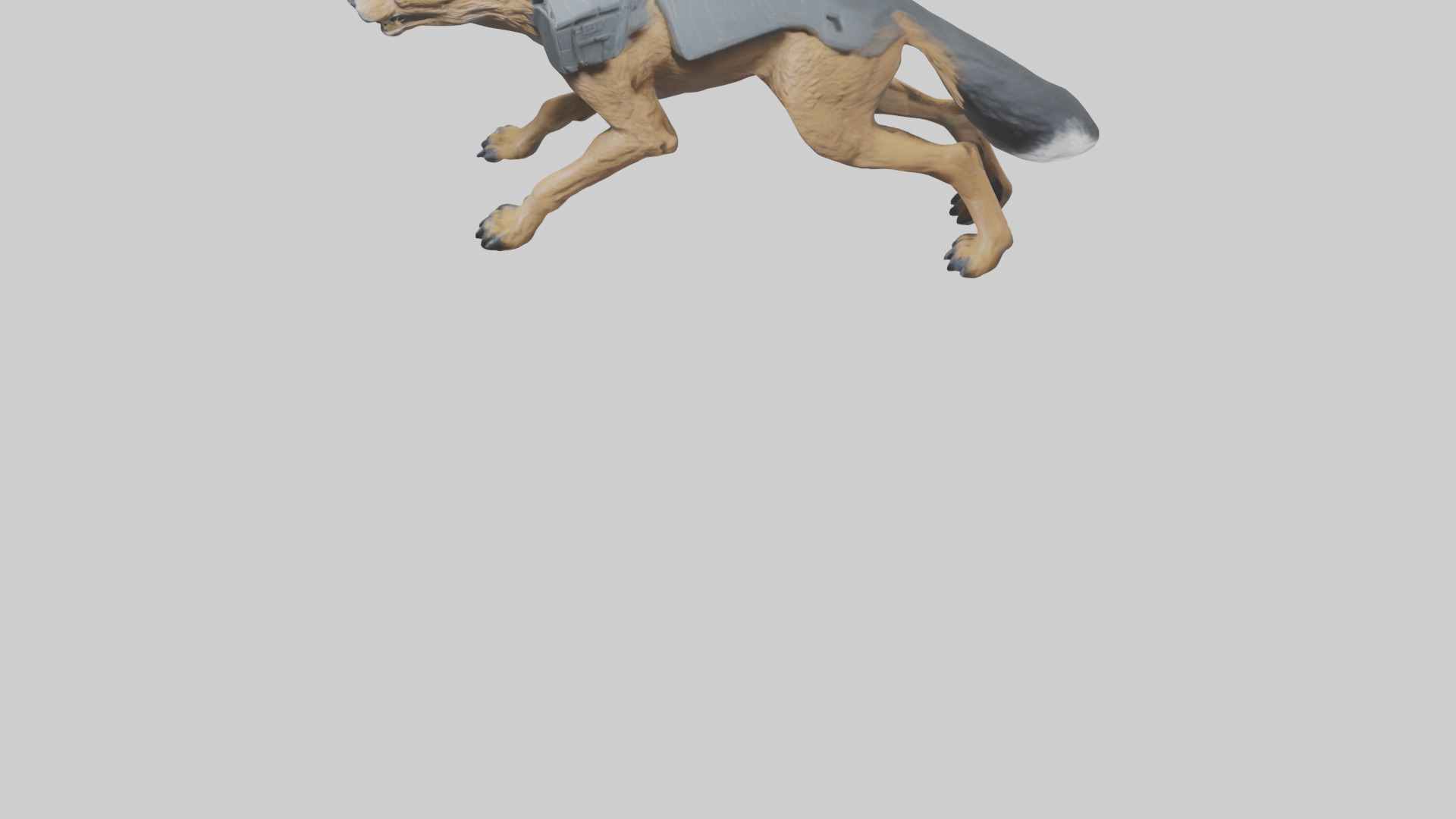Jackal prowling model Low-poly 3D model_5