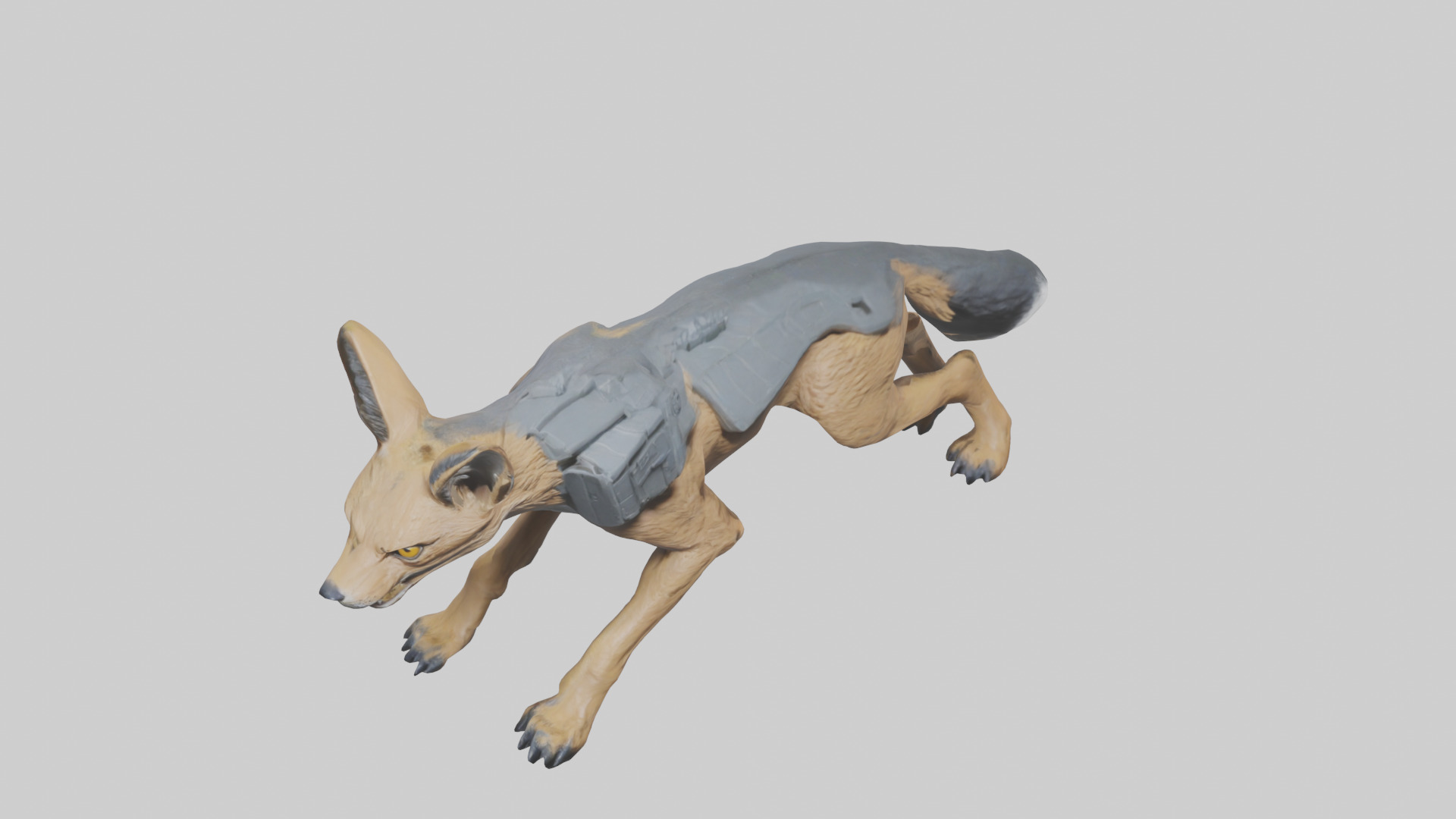 Jackal prowling model Low-poly 3D model_16