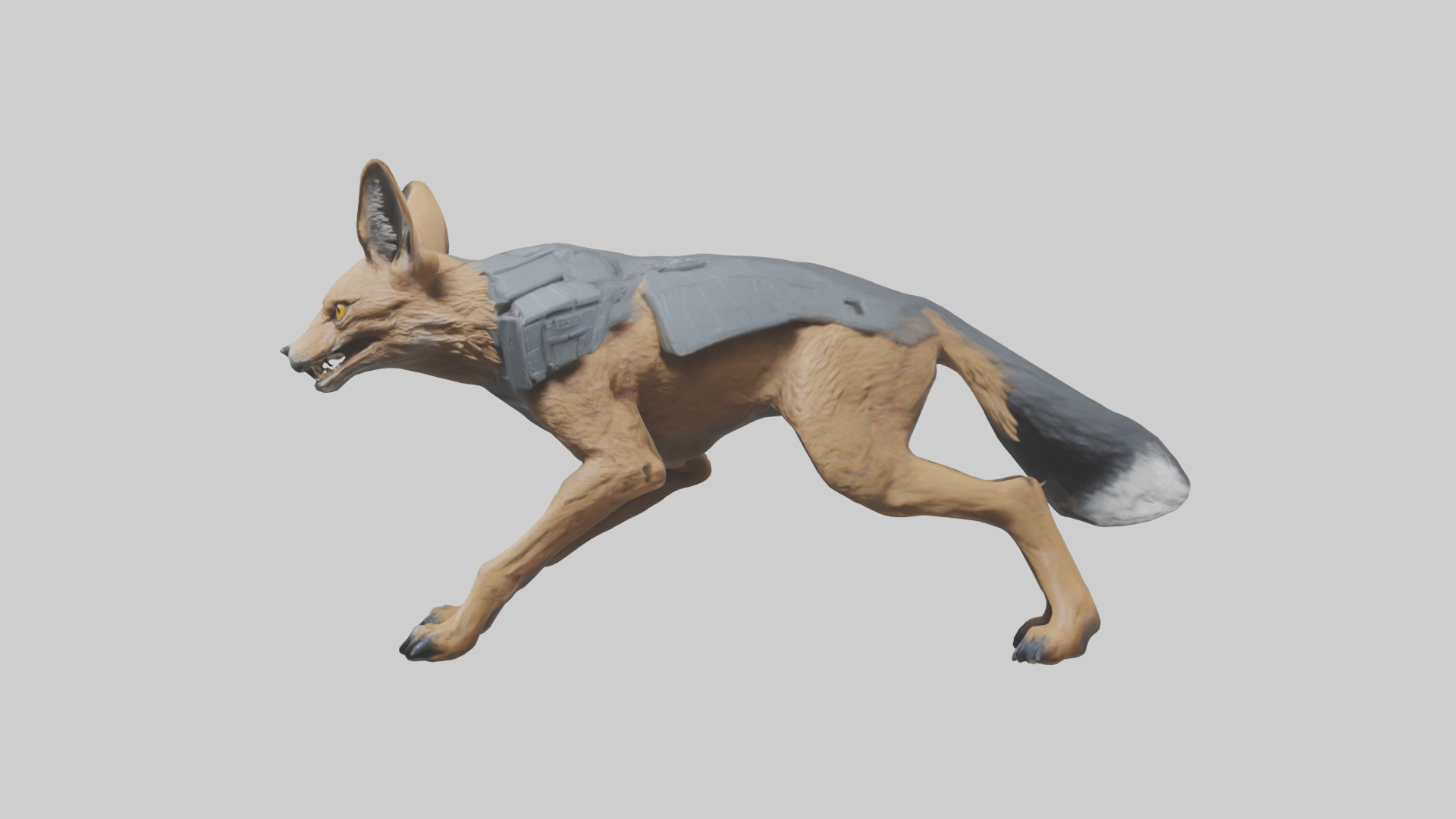 Jackal prowling model Low-poly 3D model_10