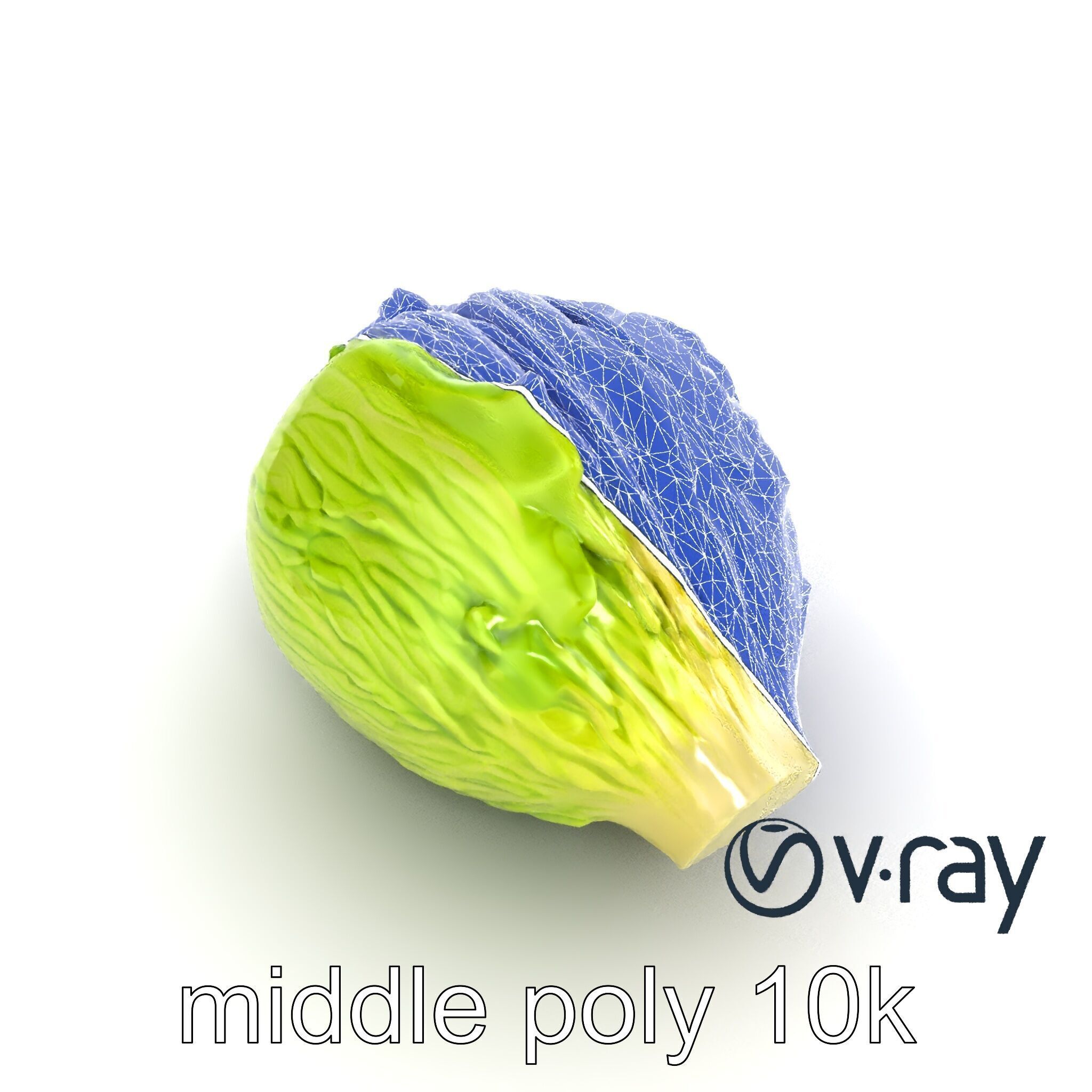 Savoy Cabbage with Wavy Leaves model pack Low-poly 3D model_12