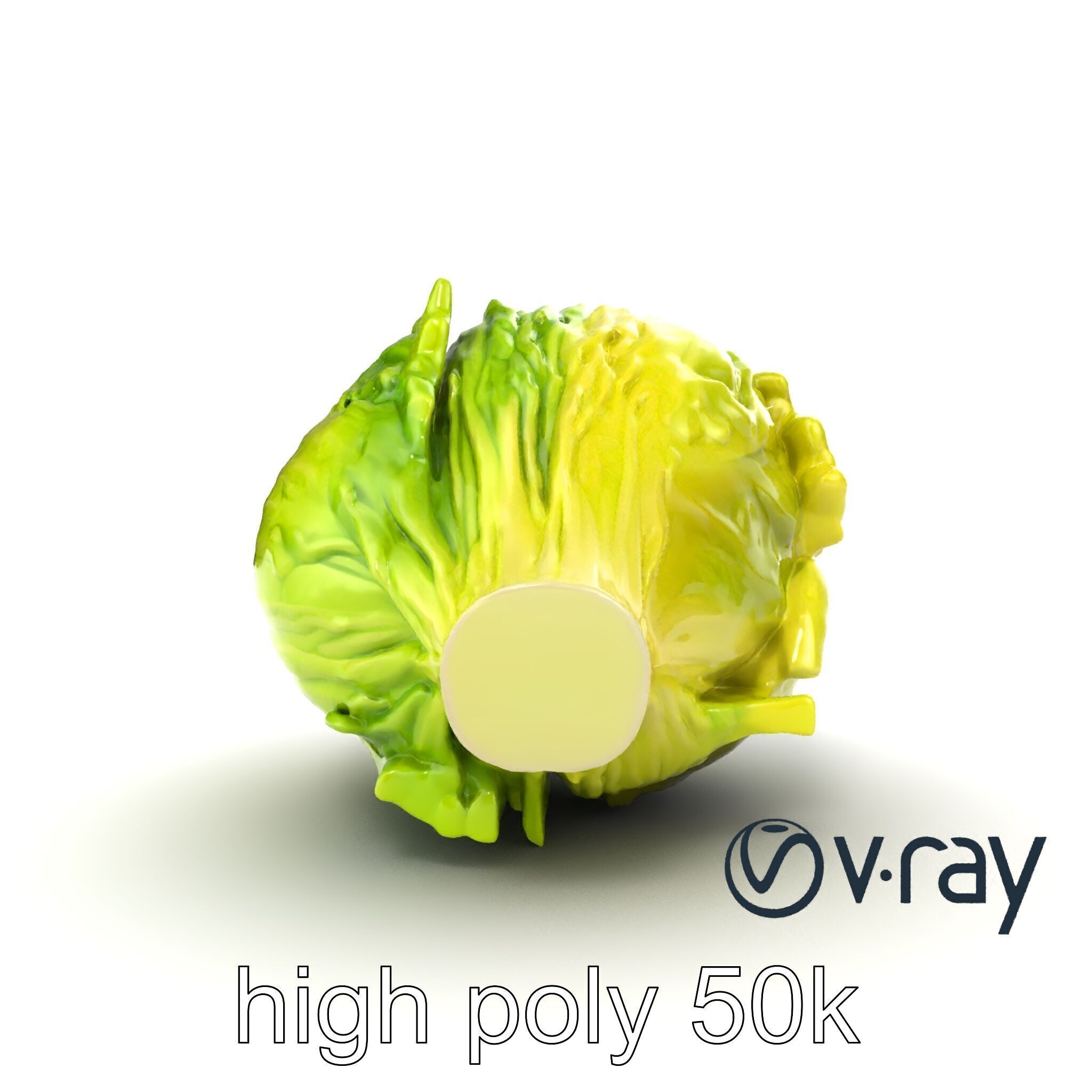 Savoy Cabbage with Wavy Leaves model pack Low-poly 3D model_14