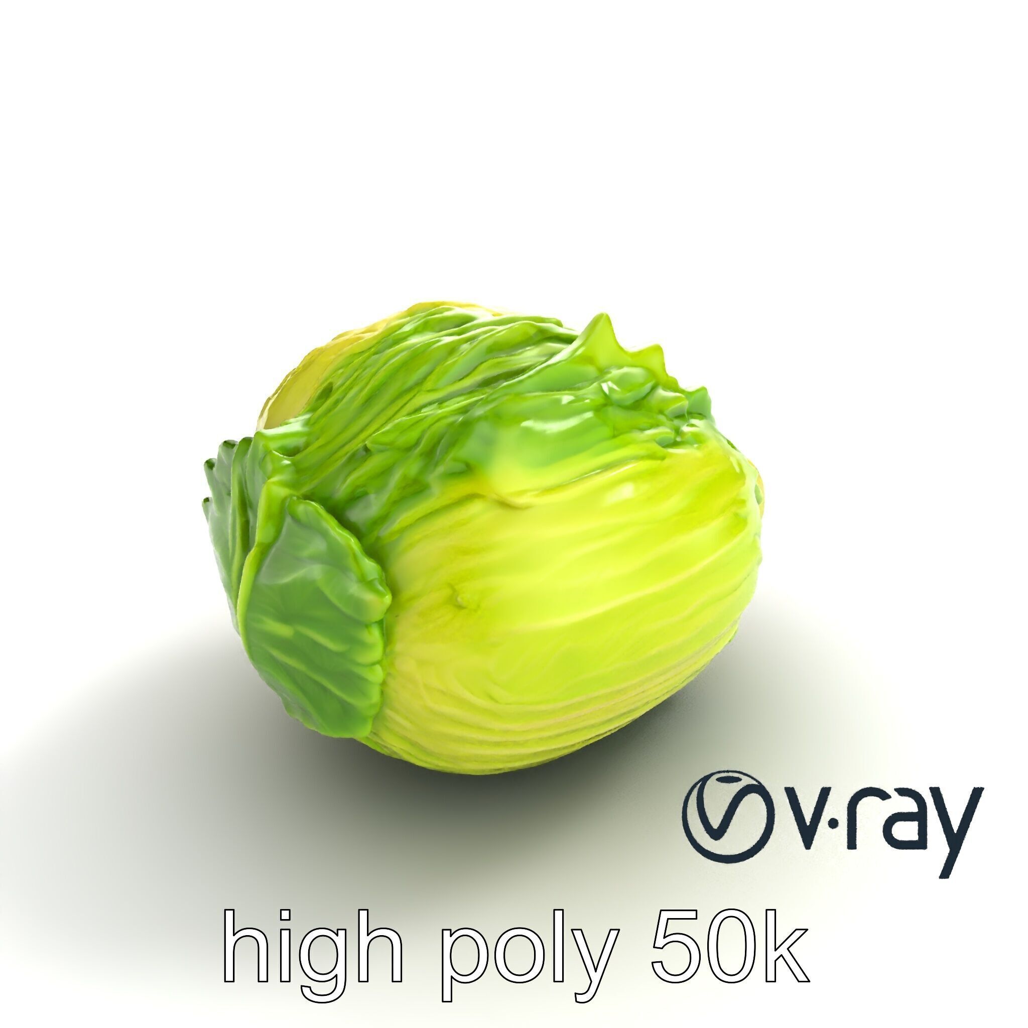 Savoy Cabbage with Wavy Leaves model pack Low-poly 3D model_16