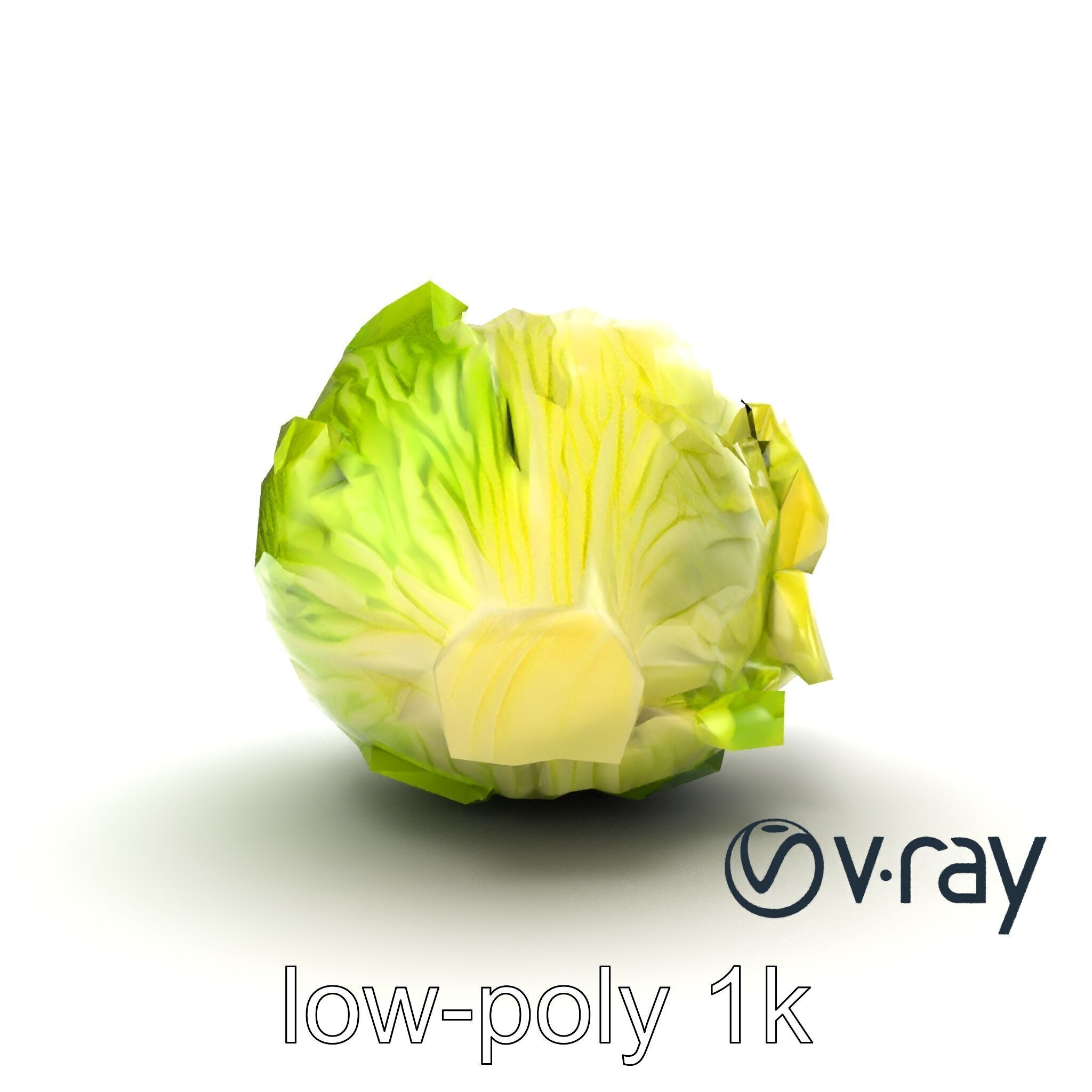 Savoy Cabbage with Wavy Leaves model pack Low-poly 3D model_13