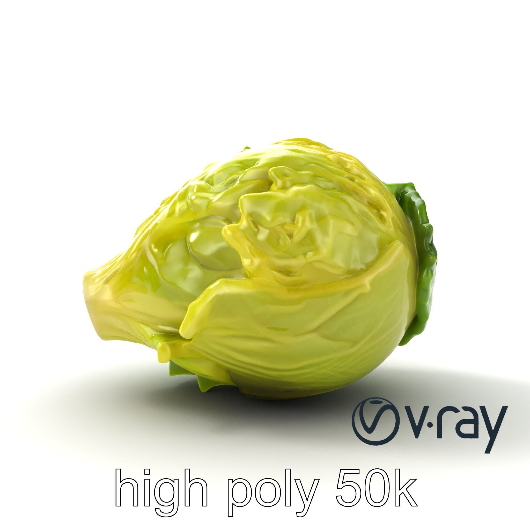Savoy Cabbage with Wavy Leaves model pack Low-poly 3D model_30