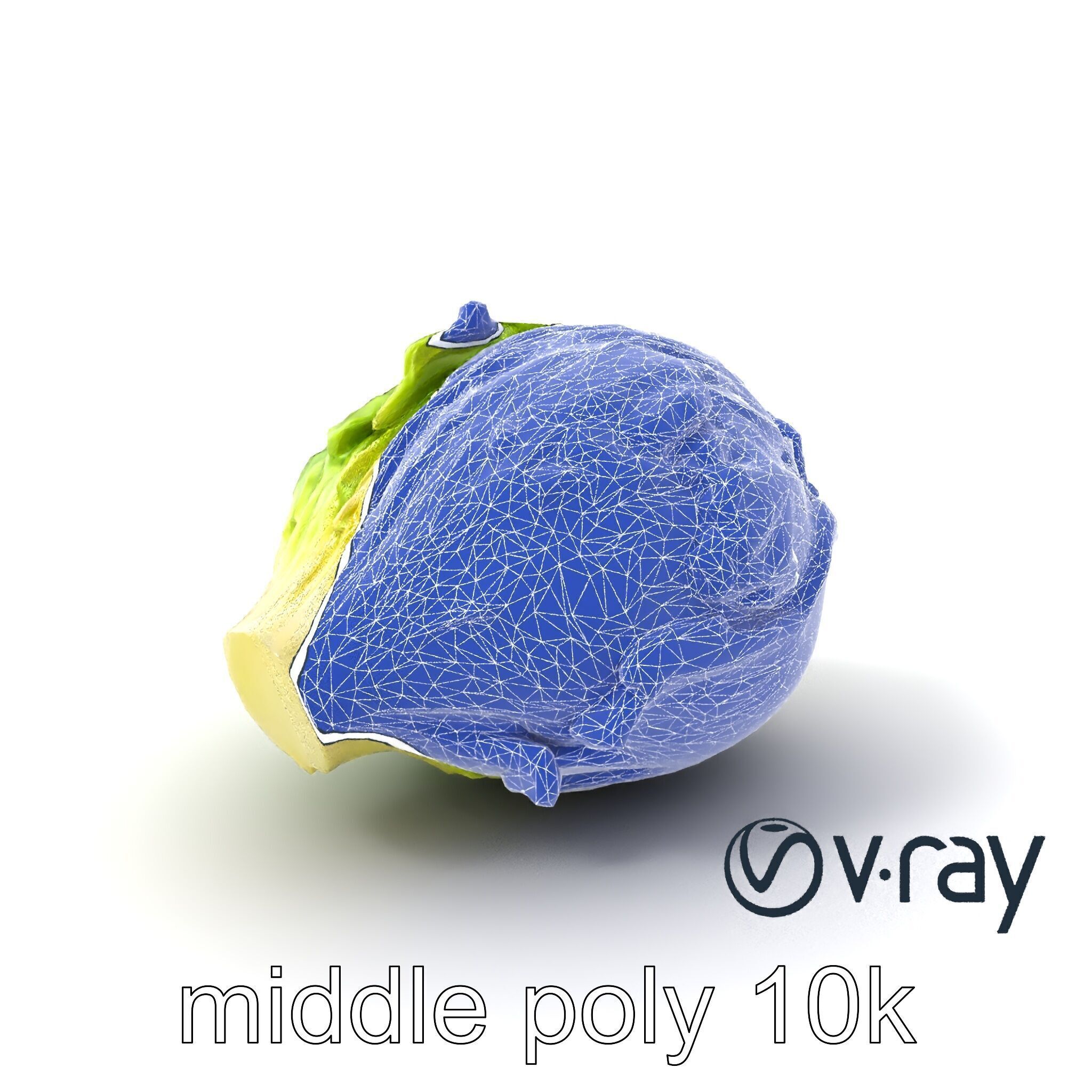 Savoy Cabbage with Wavy Leaves model pack Low-poly 3D model_21