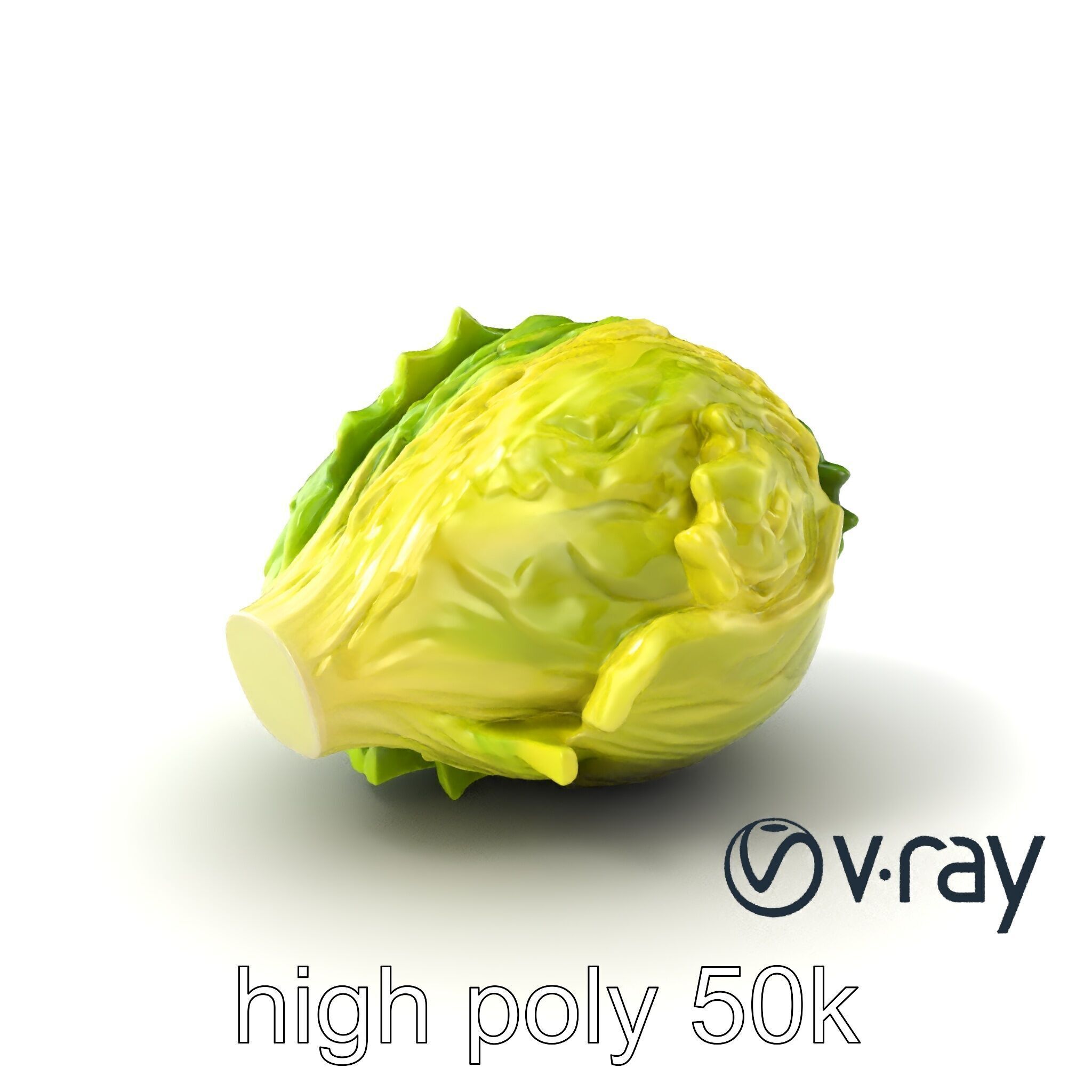 Savoy Cabbage with Wavy Leaves model pack Low-poly 3D model_6