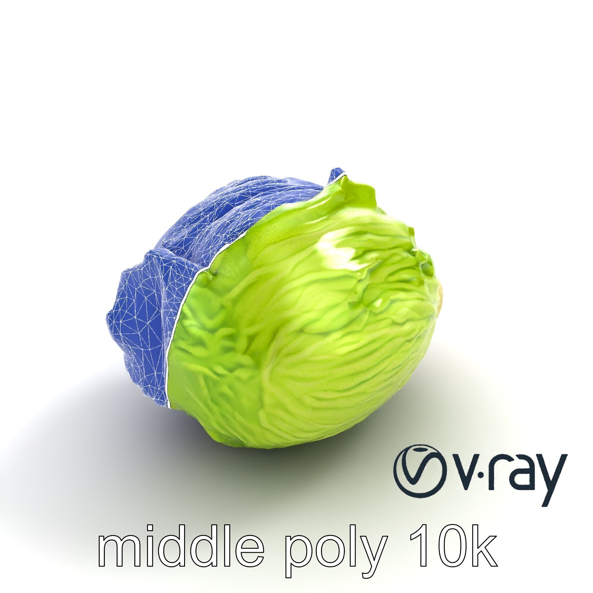 Savoy Cabbage with Wavy Leaves model pack Low-poly 3D model_18