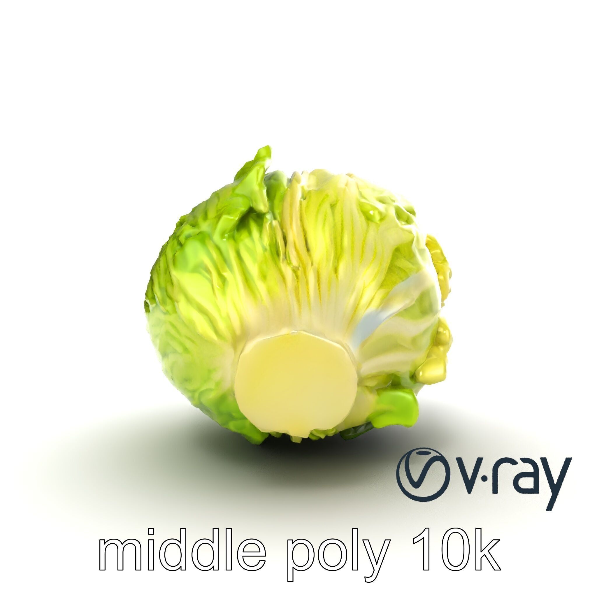 Savoy Cabbage with Wavy Leaves model pack Low-poly 3D model_17