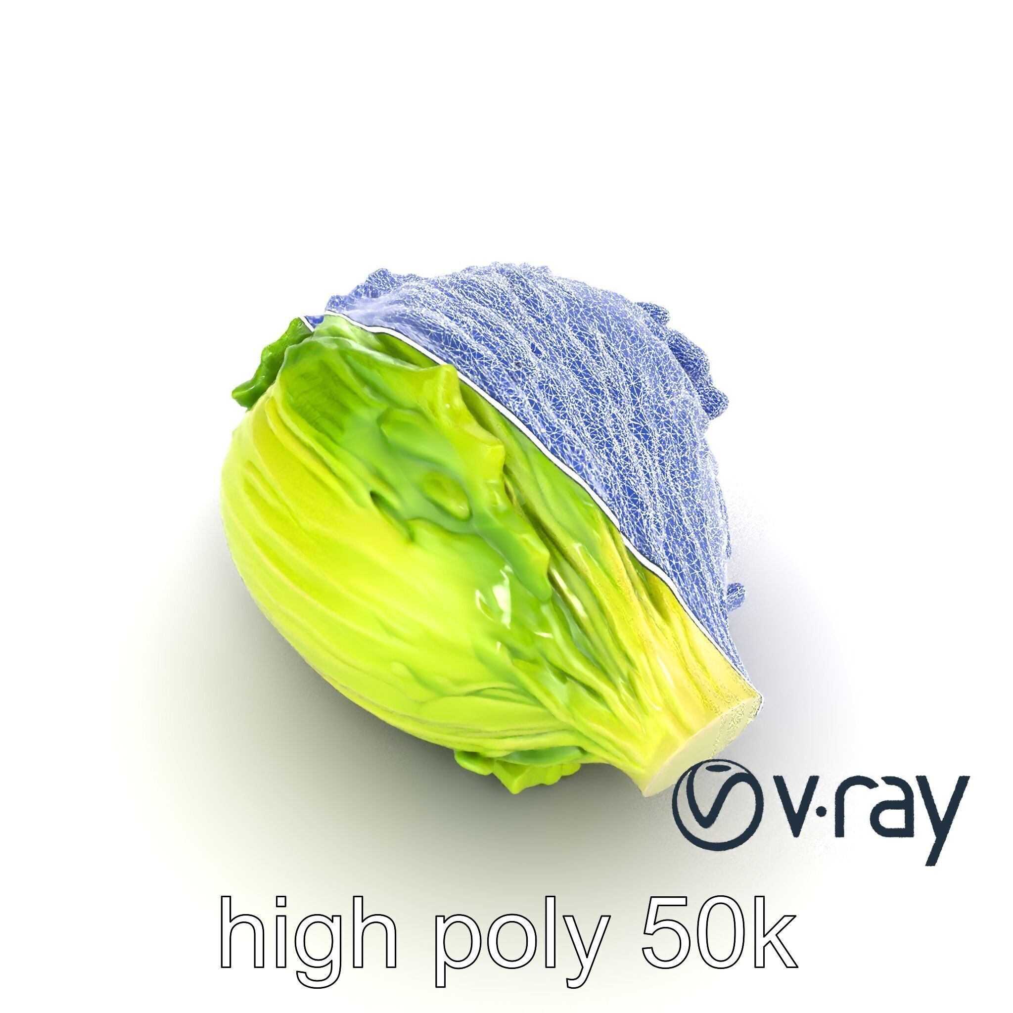 Savoy Cabbage with Wavy Leaves model pack Low-poly 3D model_31