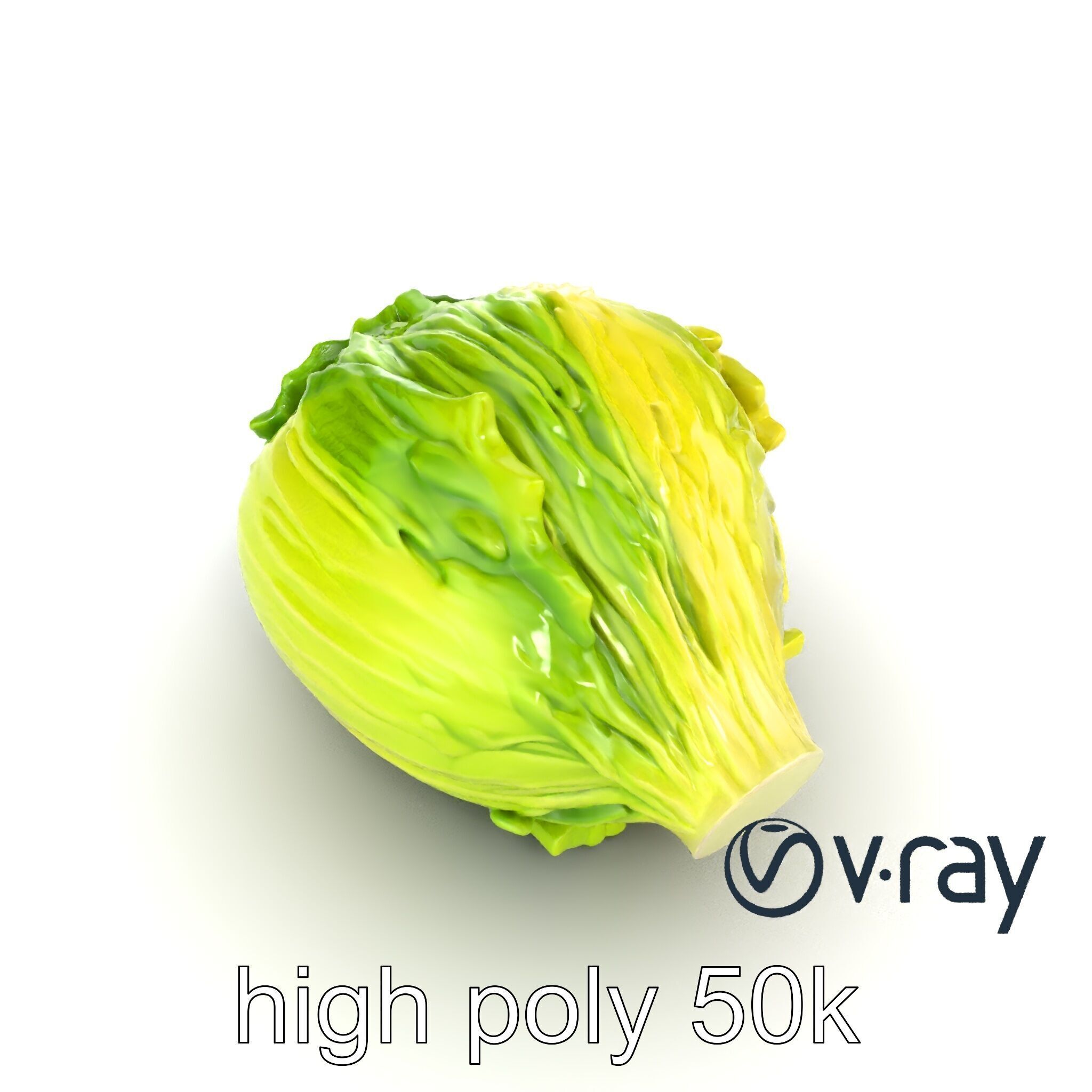 Savoy Cabbage with Wavy Leaves model pack Low-poly 3D model_28