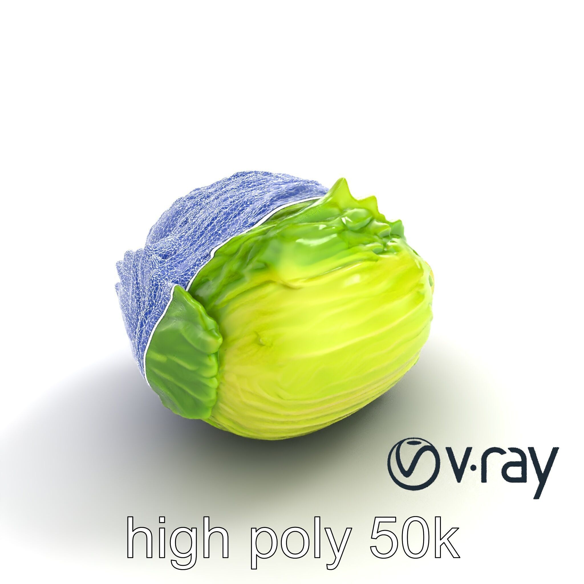 Savoy Cabbage with Wavy Leaves model pack Low-poly 3D model_25