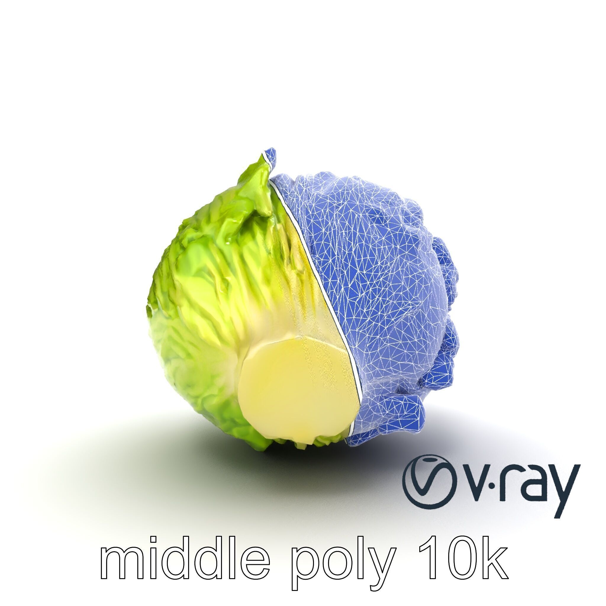Savoy Cabbage with Wavy Leaves model pack Low-poly 3D model_20