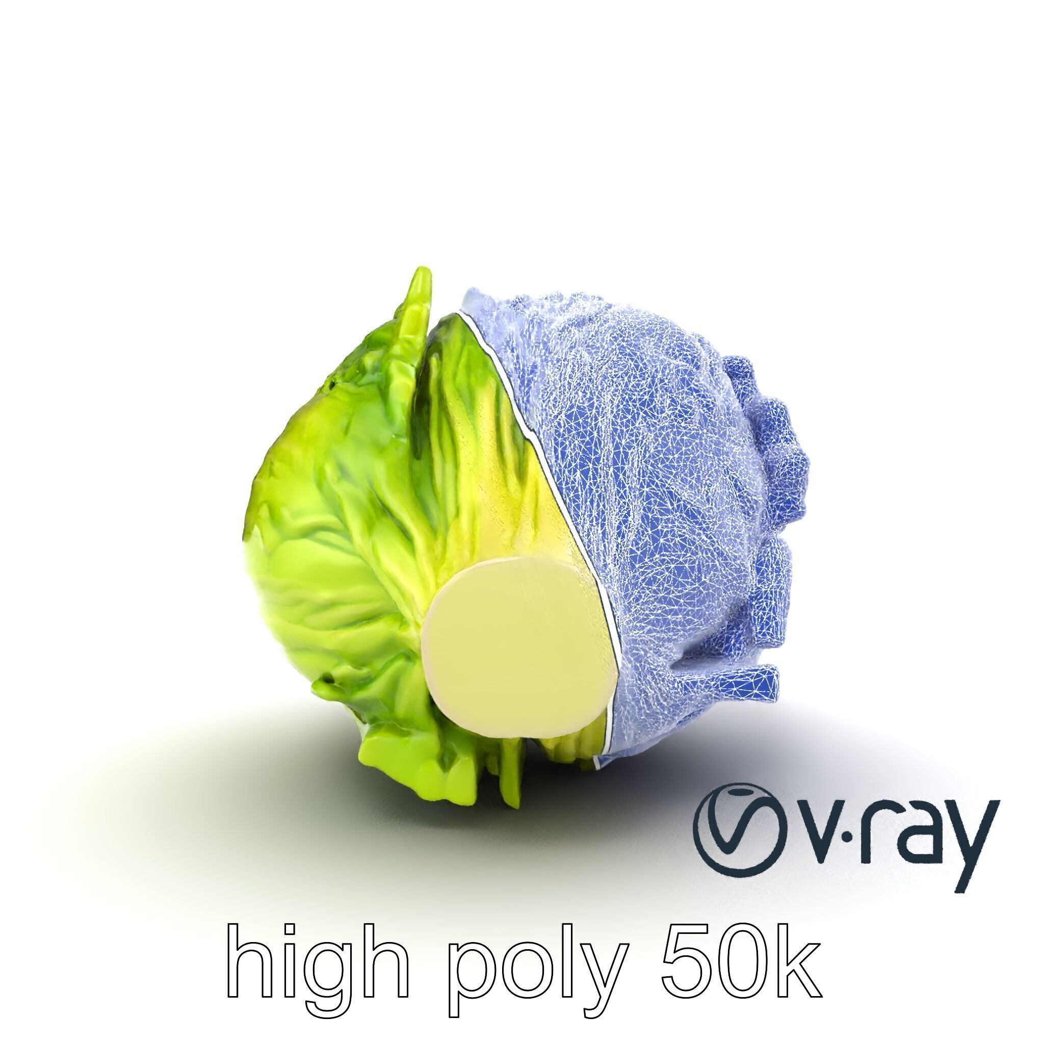Savoy Cabbage with Wavy Leaves model pack Low-poly 3D model_29