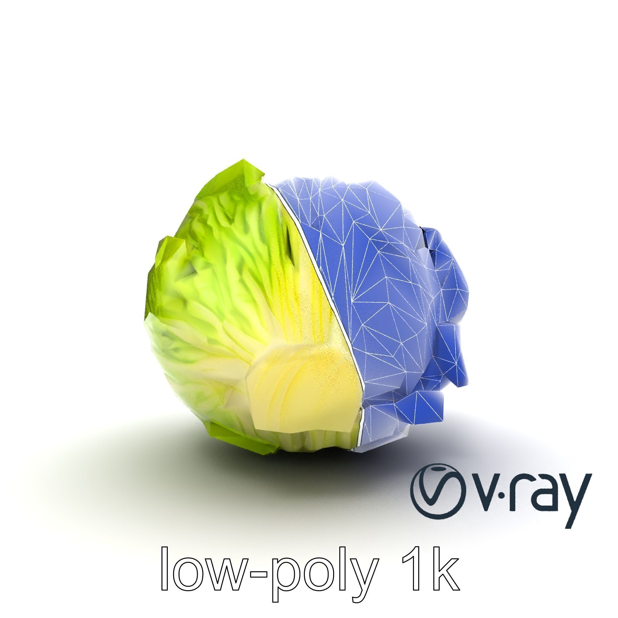 Savoy Cabbage with Wavy Leaves model pack Low-poly 3D model_27