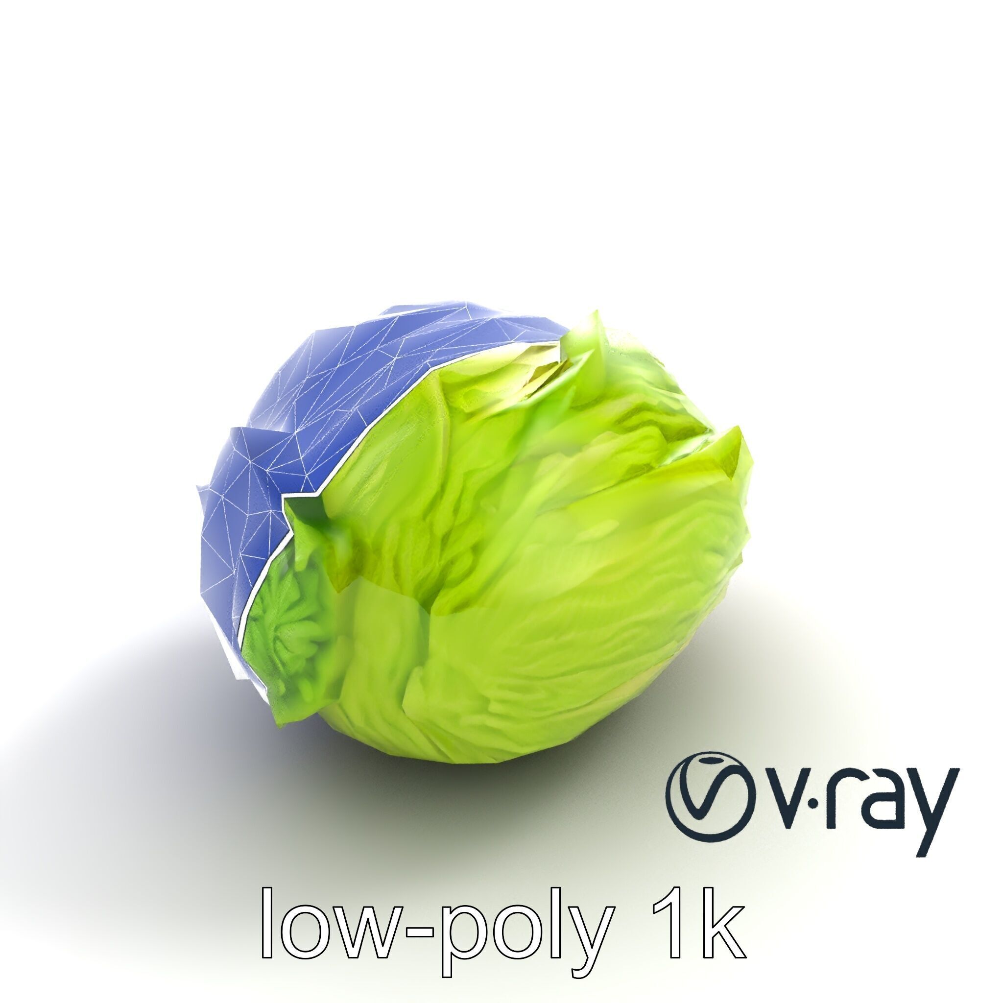 Savoy Cabbage with Wavy Leaves model pack Low-poly 3D model_15