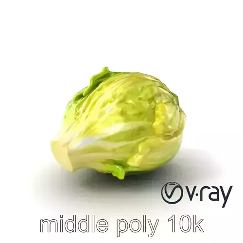 Savoy Cabbage with Wavy Leaves model pack Low-poly 3D model