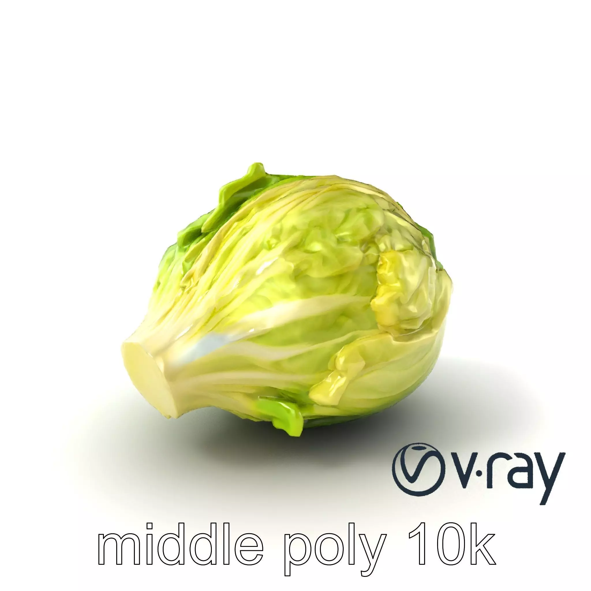 Savoy Cabbage with Wavy Leaves model pack Low-poly 3D model_0