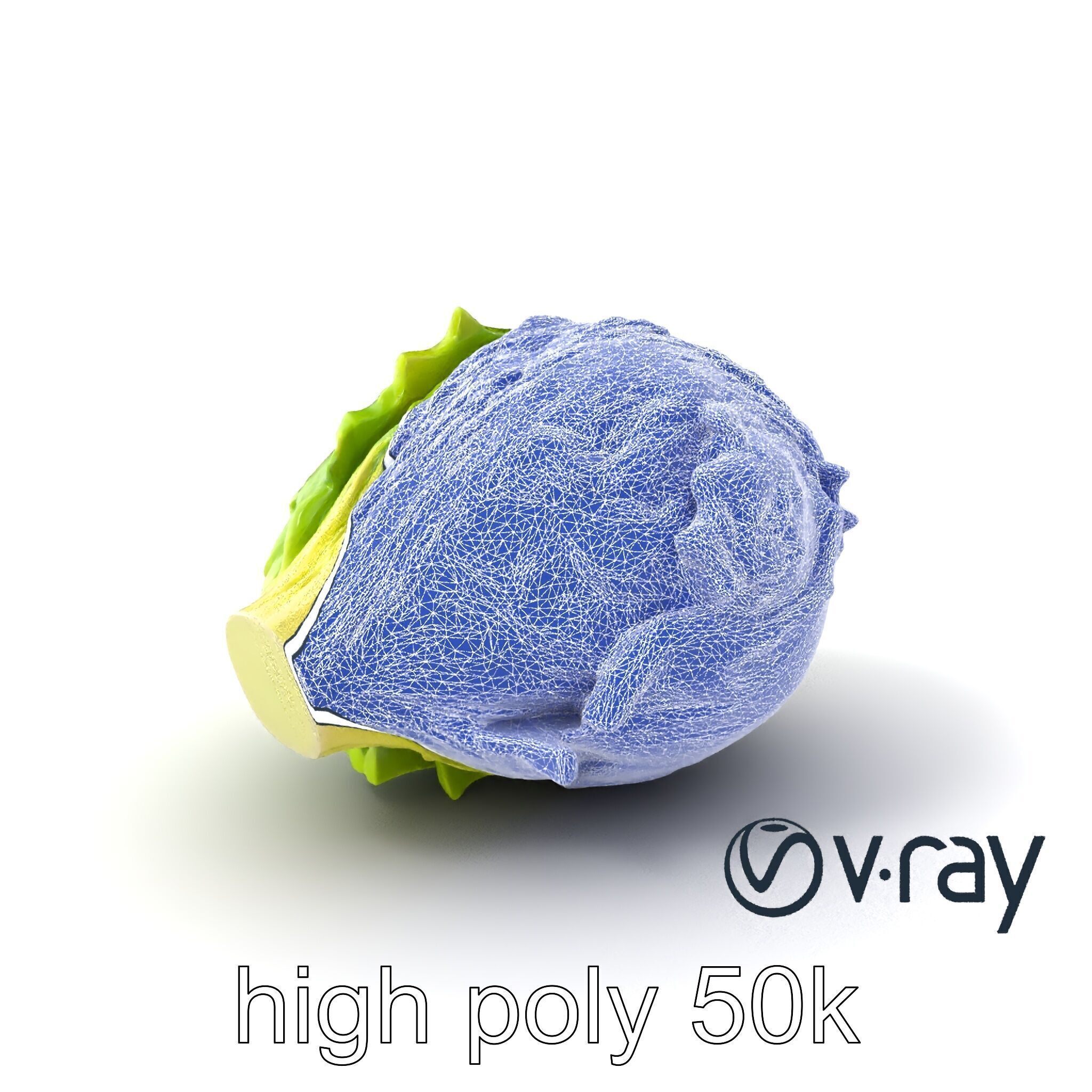 Savoy Cabbage with Wavy Leaves model pack Low-poly 3D model_9
