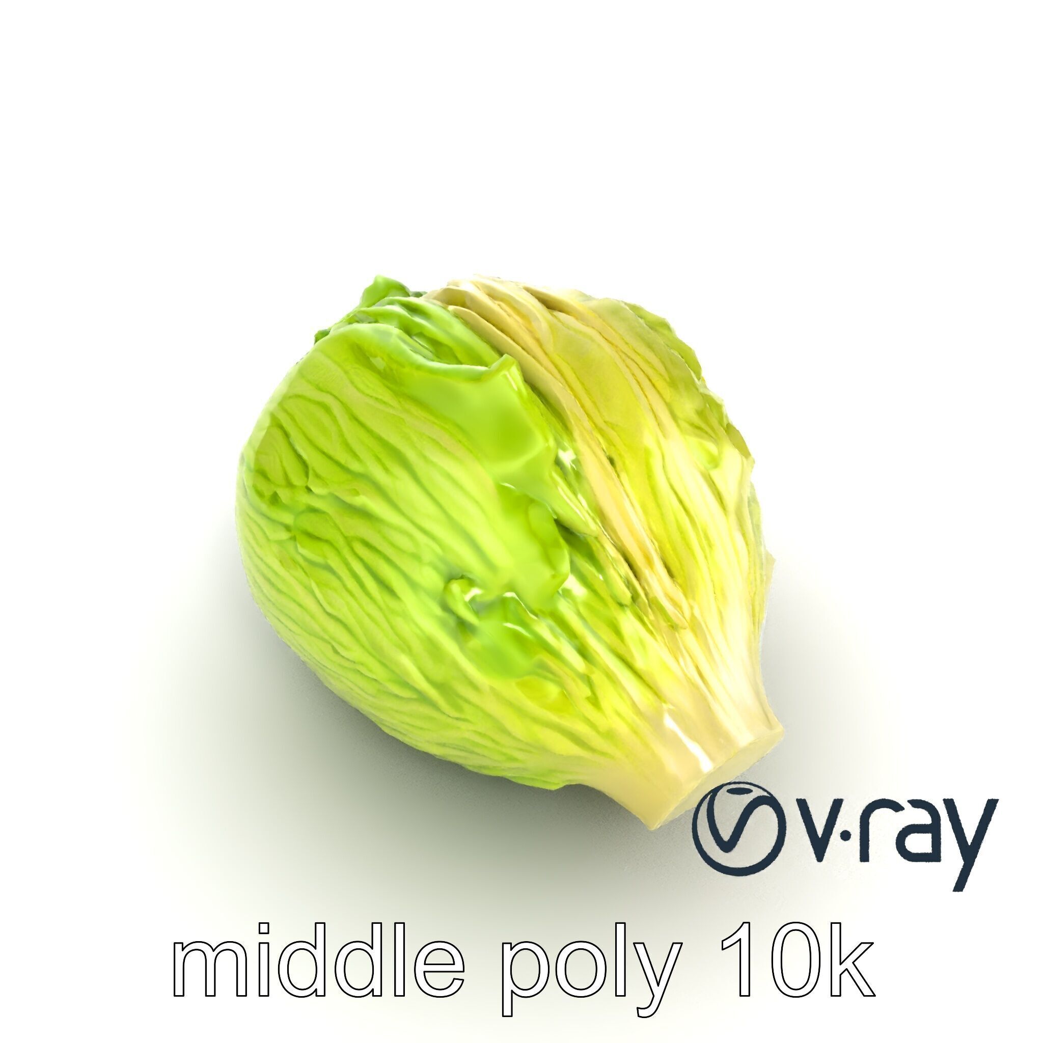 Savoy Cabbage with Wavy Leaves model pack Low-poly 3D model_7