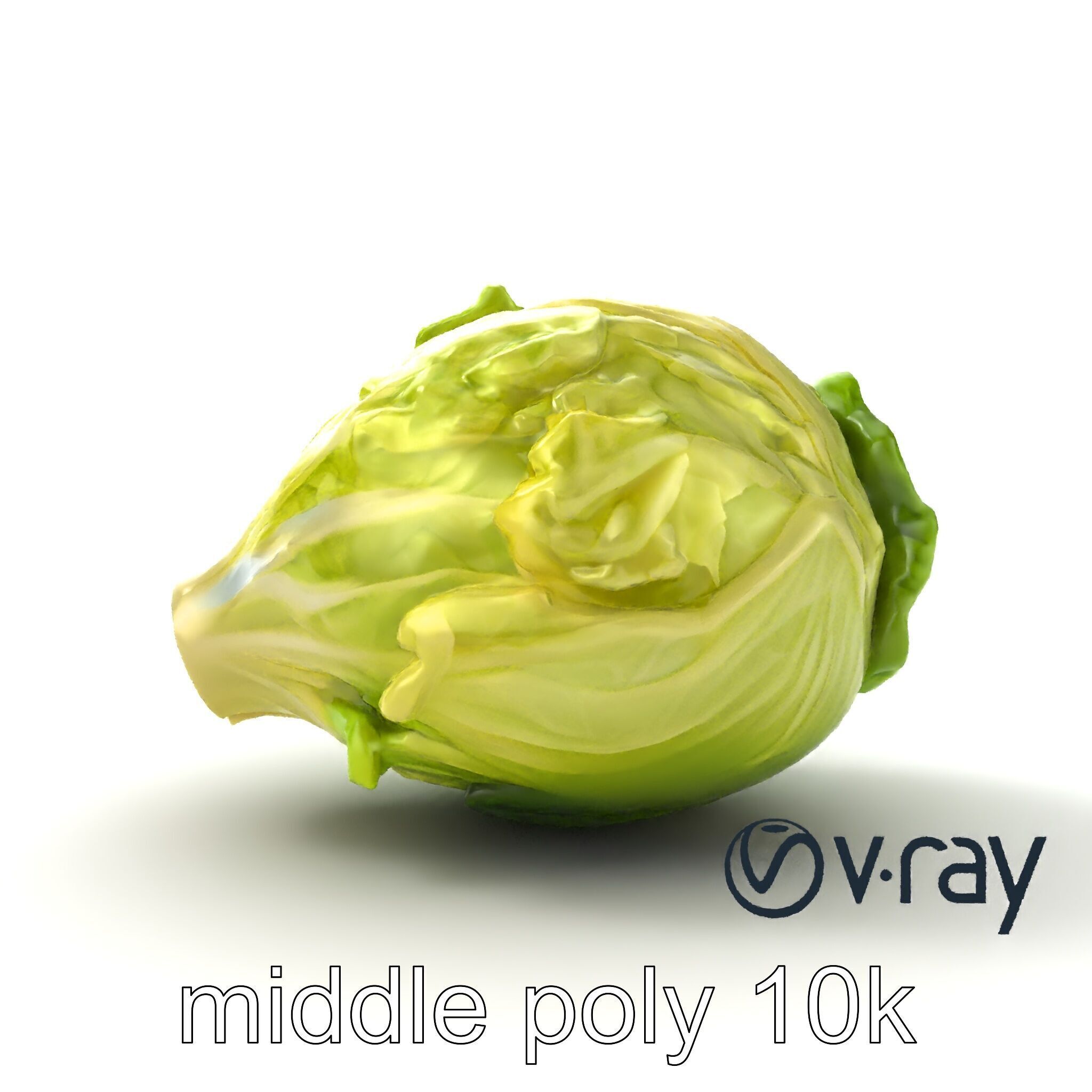 Savoy Cabbage with Wavy Leaves model pack Low-poly 3D model_10