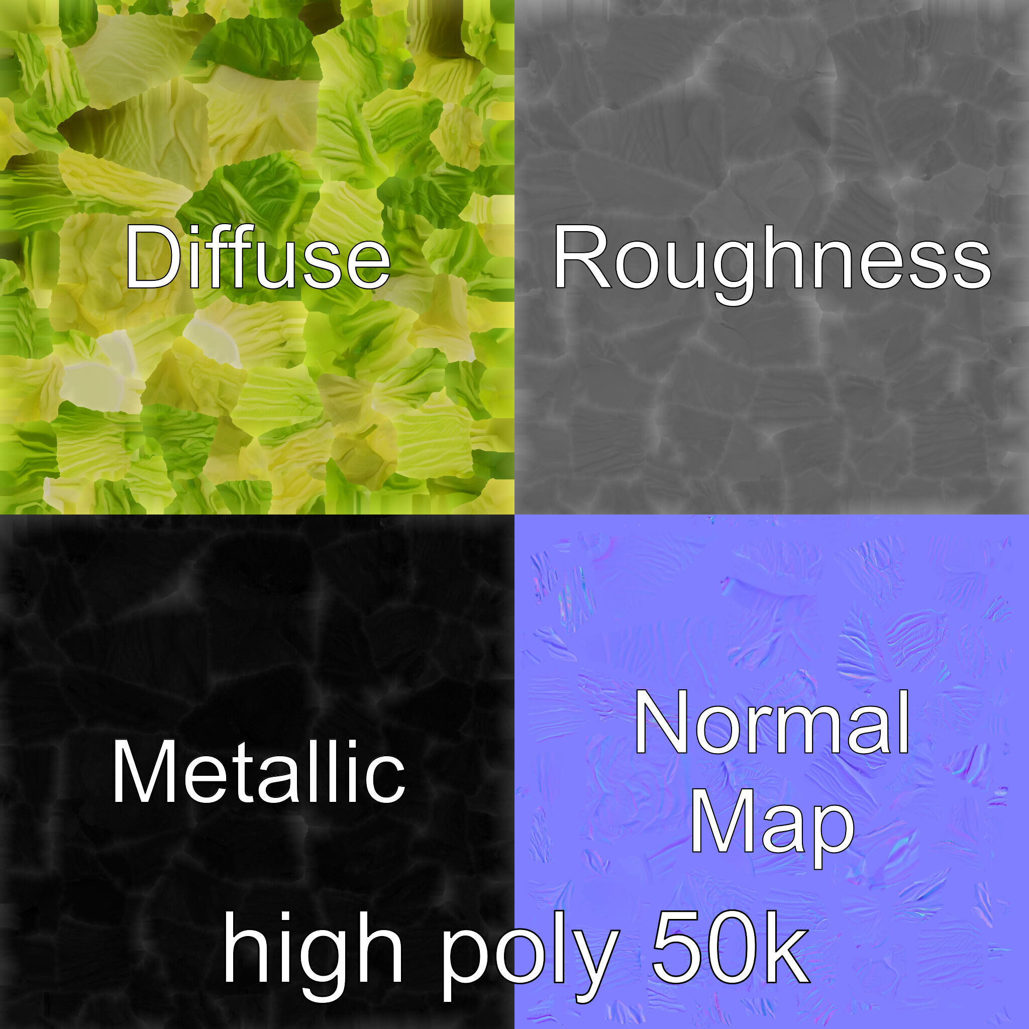 Savoy Cabbage with Wavy Leaves model pack Low-poly 3D model_1