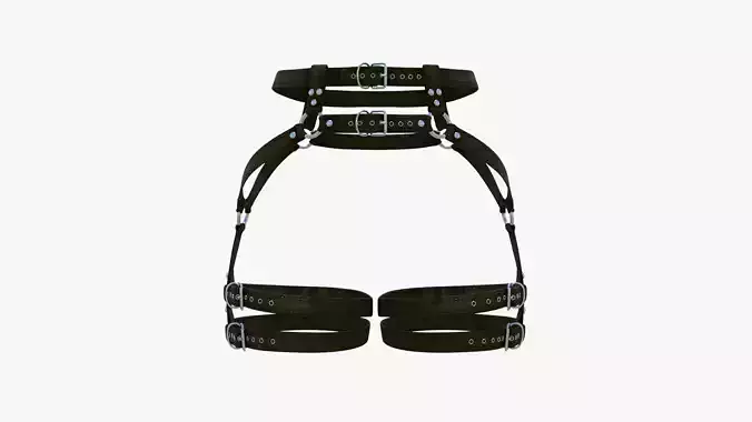 Body Harness SXS40