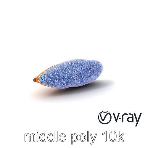 Detailed Sweet Potato Model Pack Low-poly 3D model 5