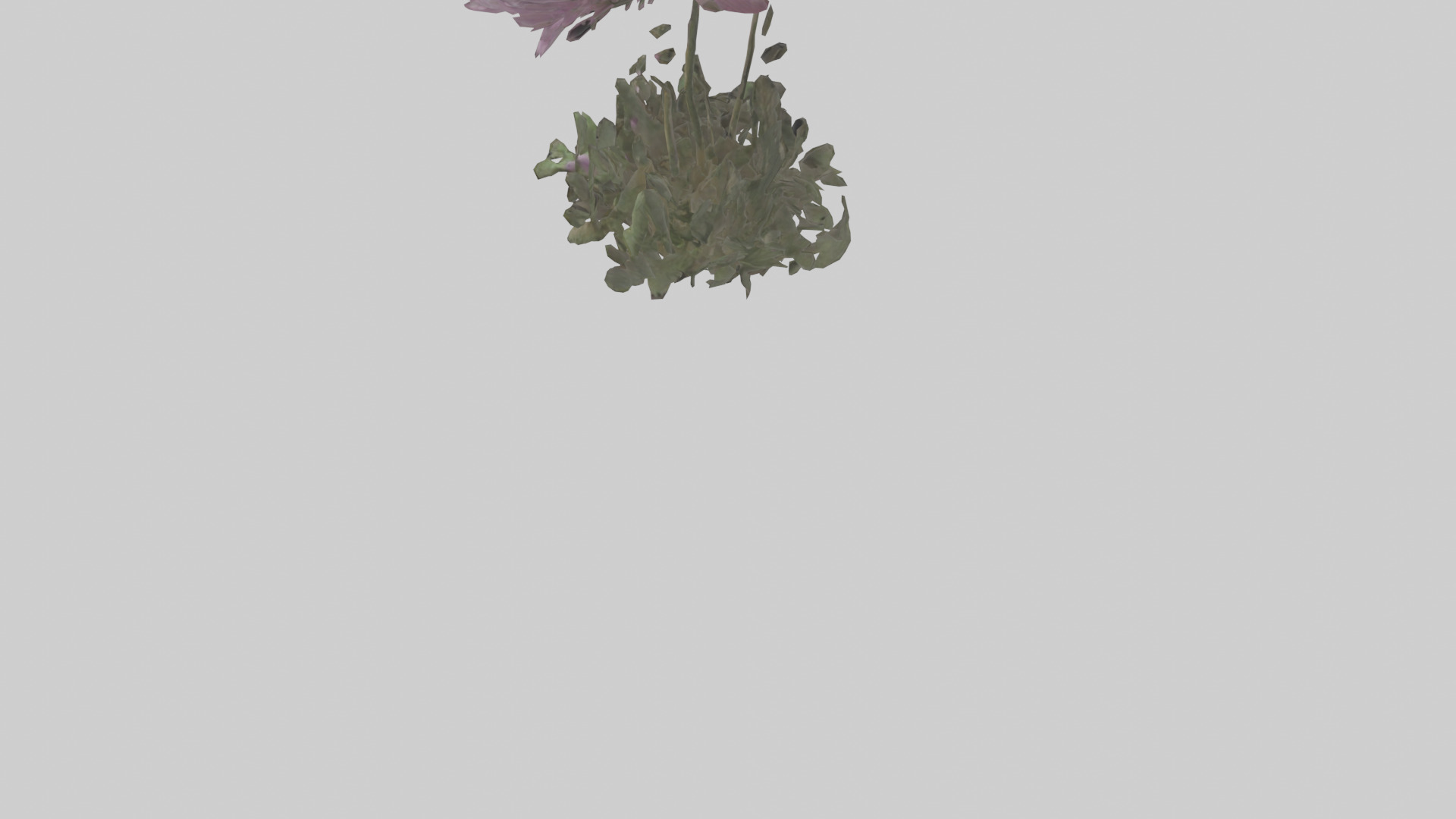 Janus God statue model Low-poly 3D model_28