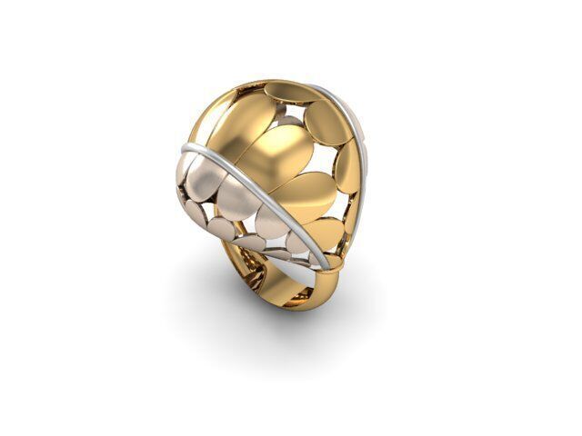 12 Ring 3dm 3d print Model 3D print model_8